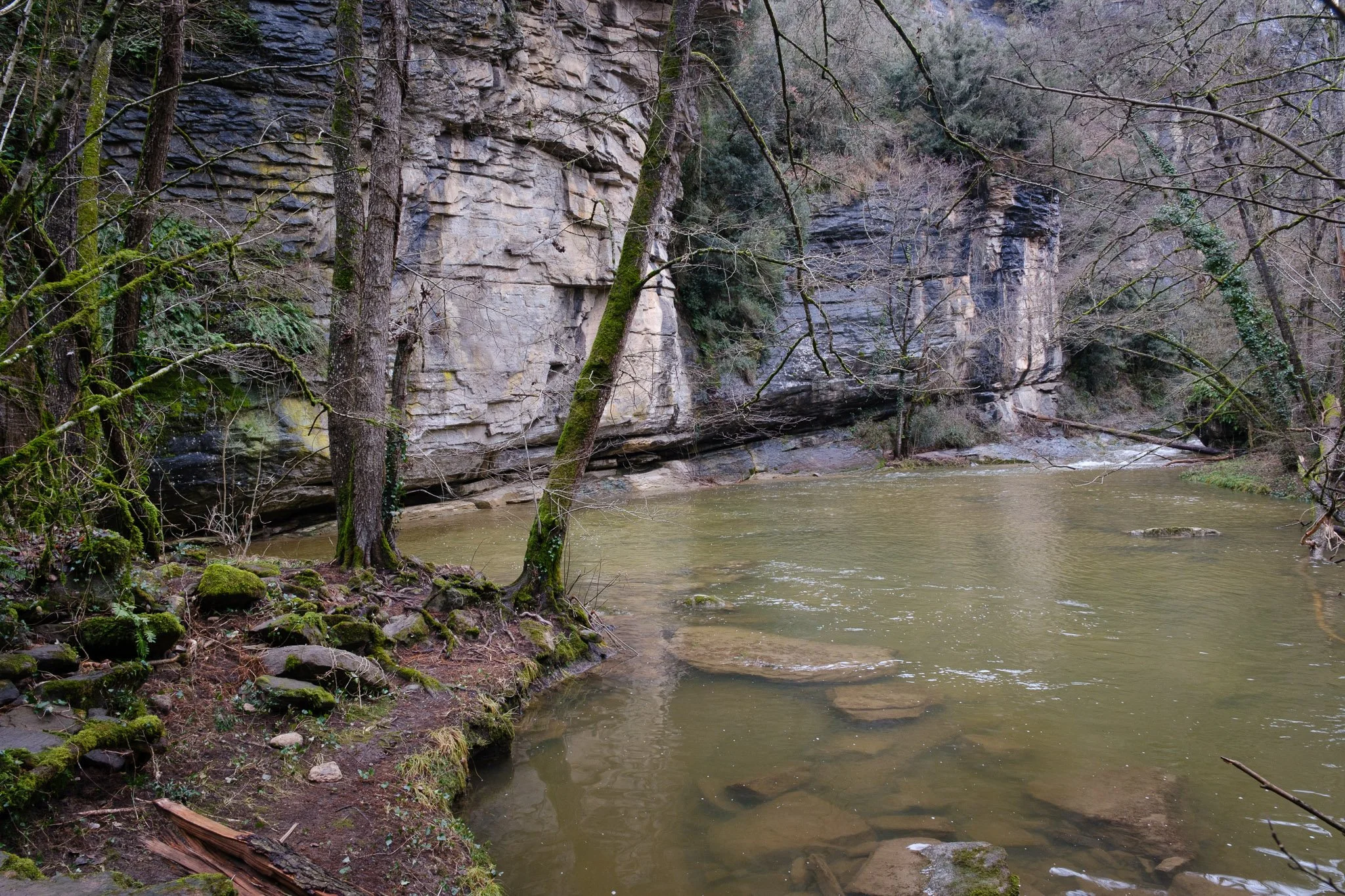 L'Esquirol 260126_2026_00060_website.jpg