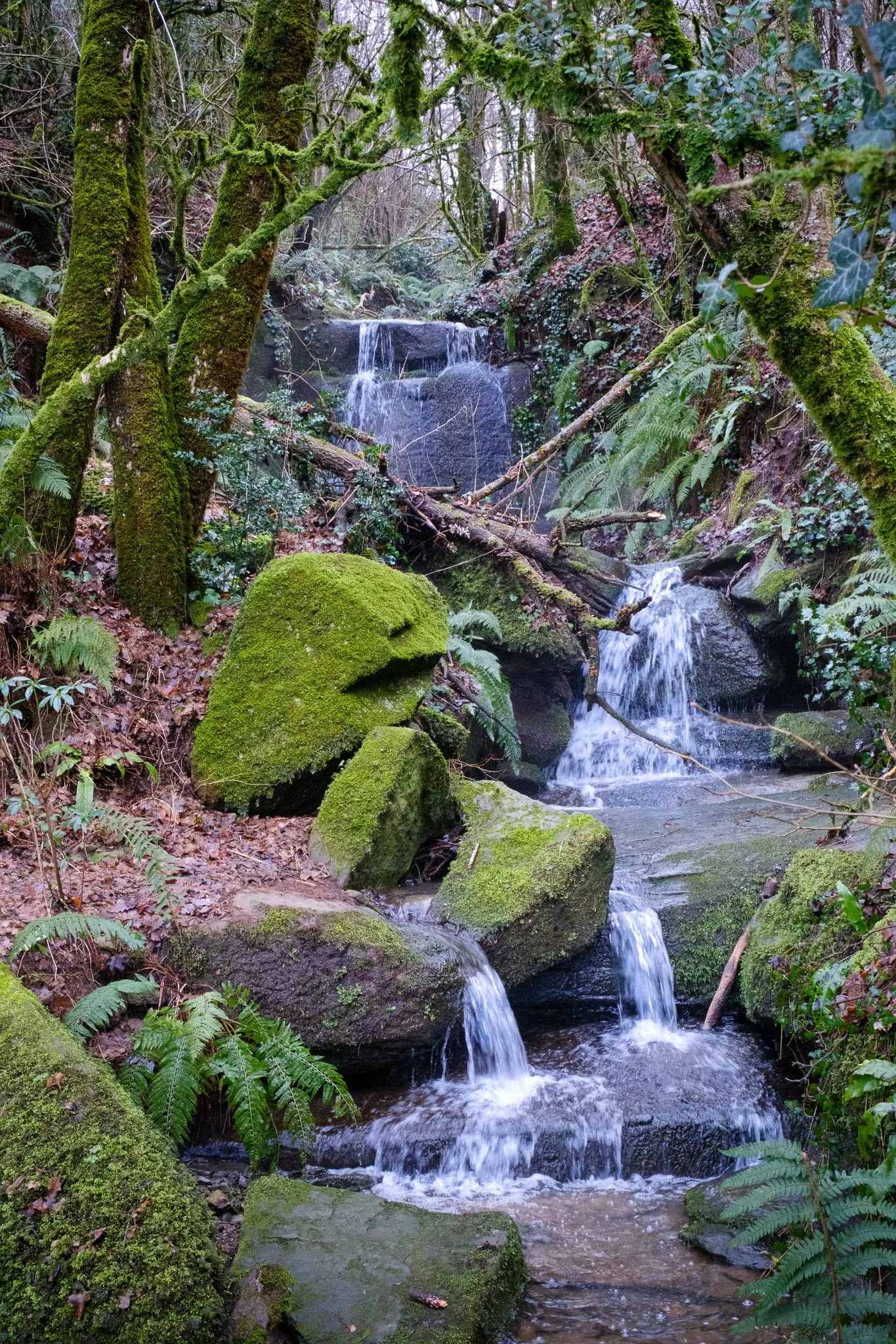 L'Esquirol 260126_2026_00015_website.jpg