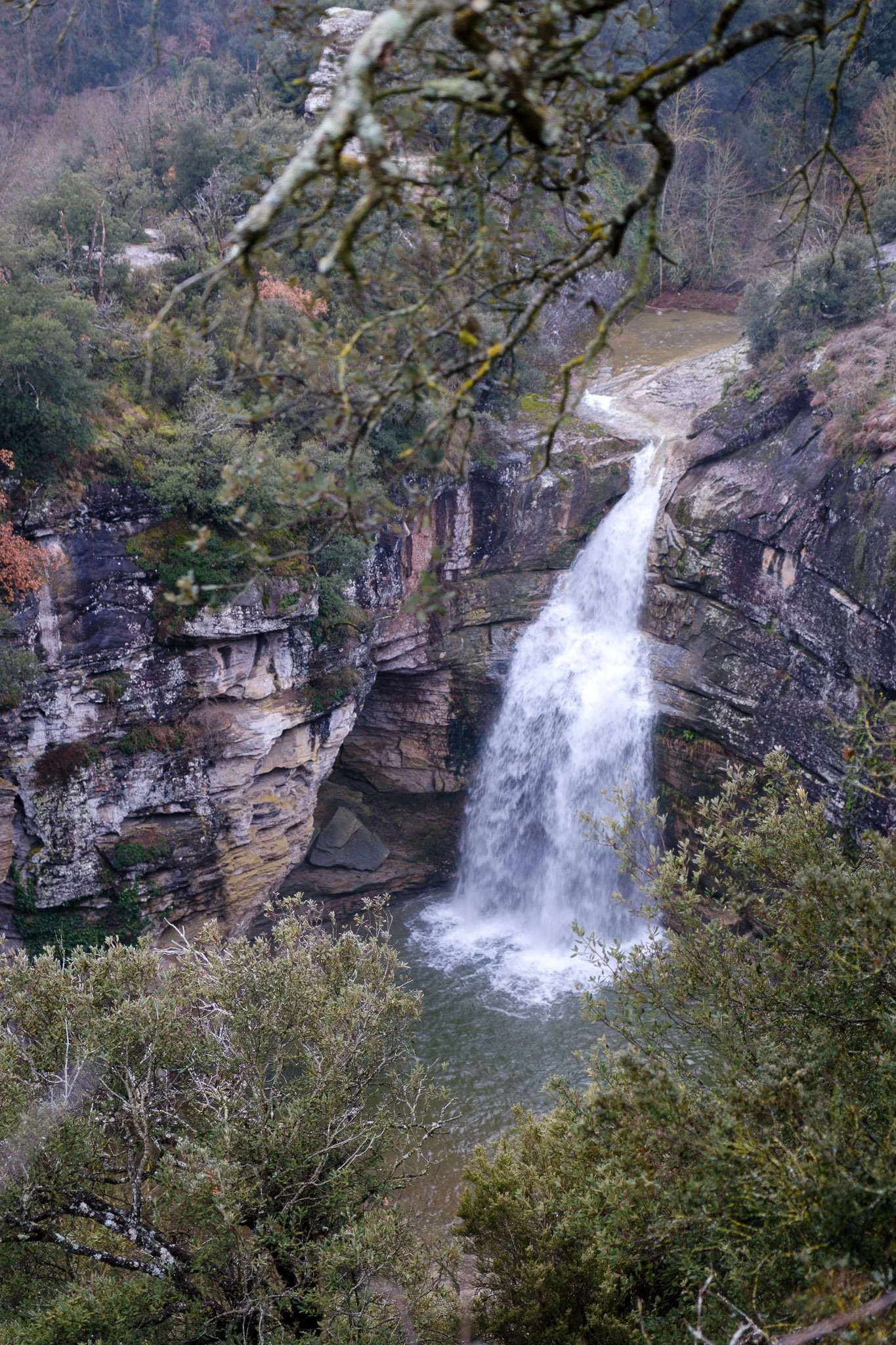 L'Esquirol 260126_2026_00021_website.jpg