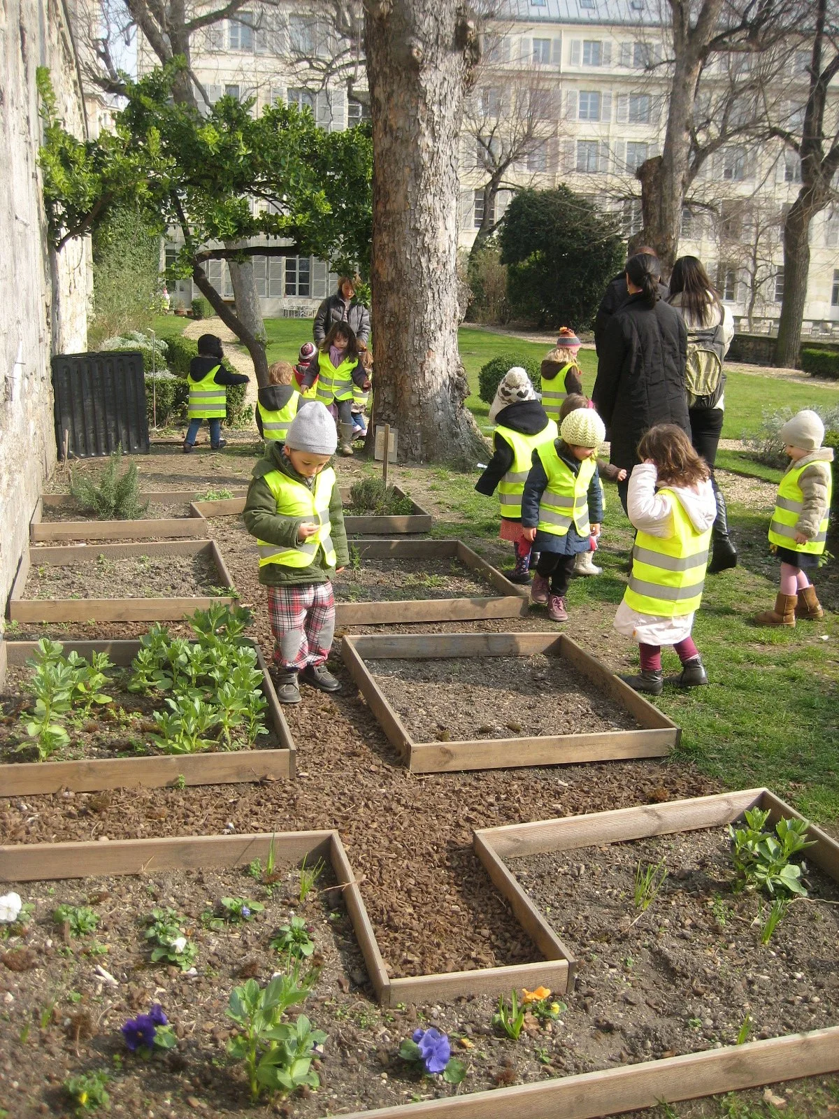 enfants réalisant des activités d’éco-citoyenneté et motricité libre en plein air selon la pédagogie Montessori