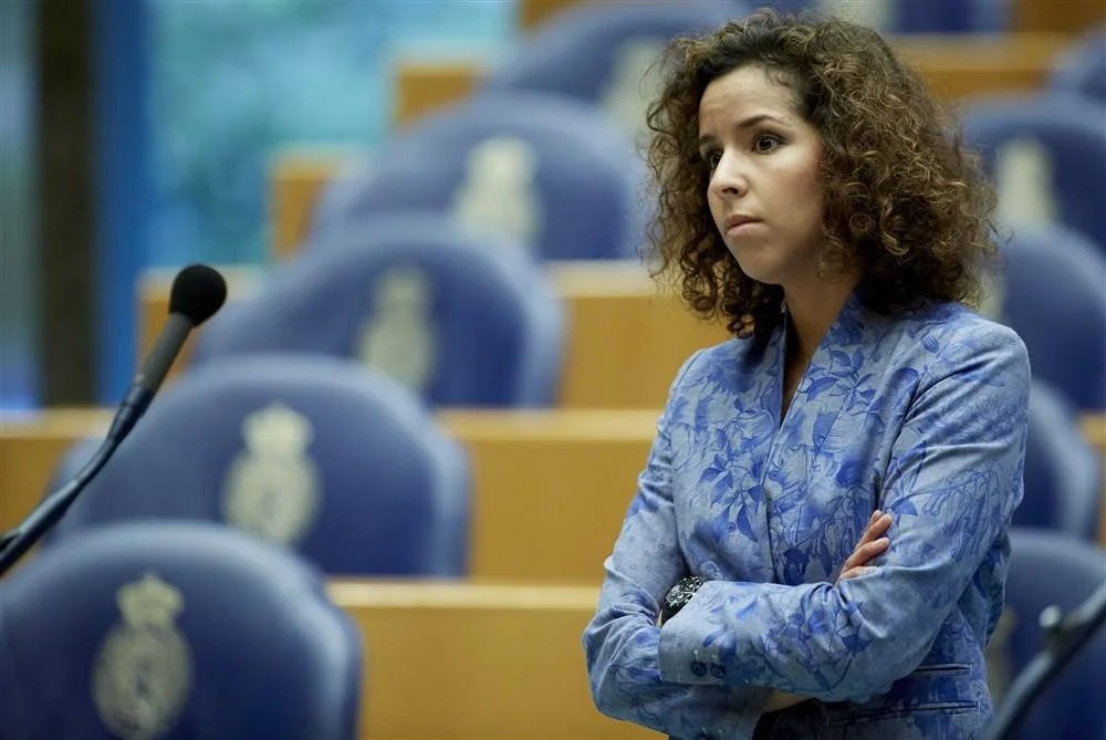 As Member of the Dutch Parliament