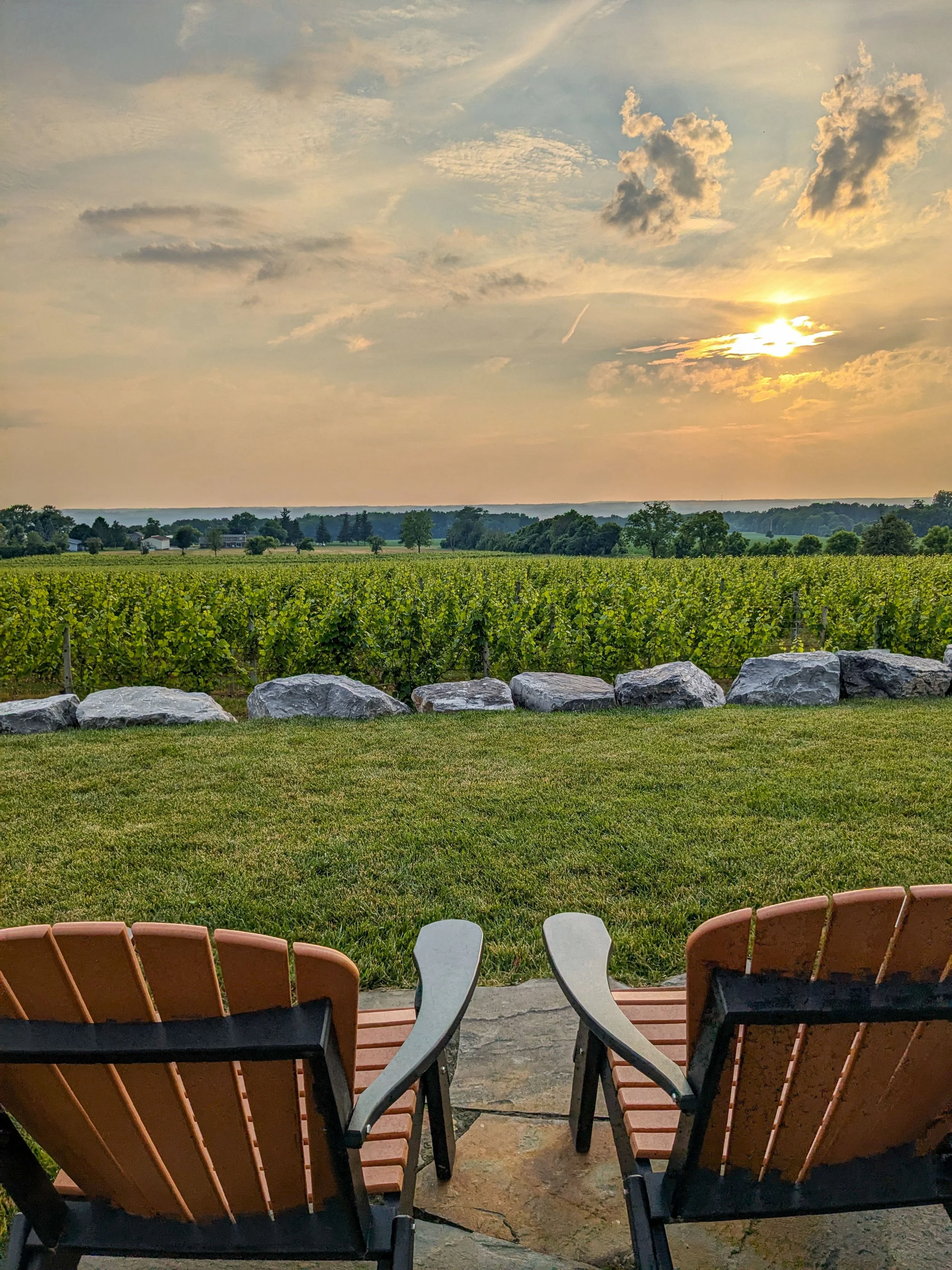 Scenic Keuka Lake vineyard views