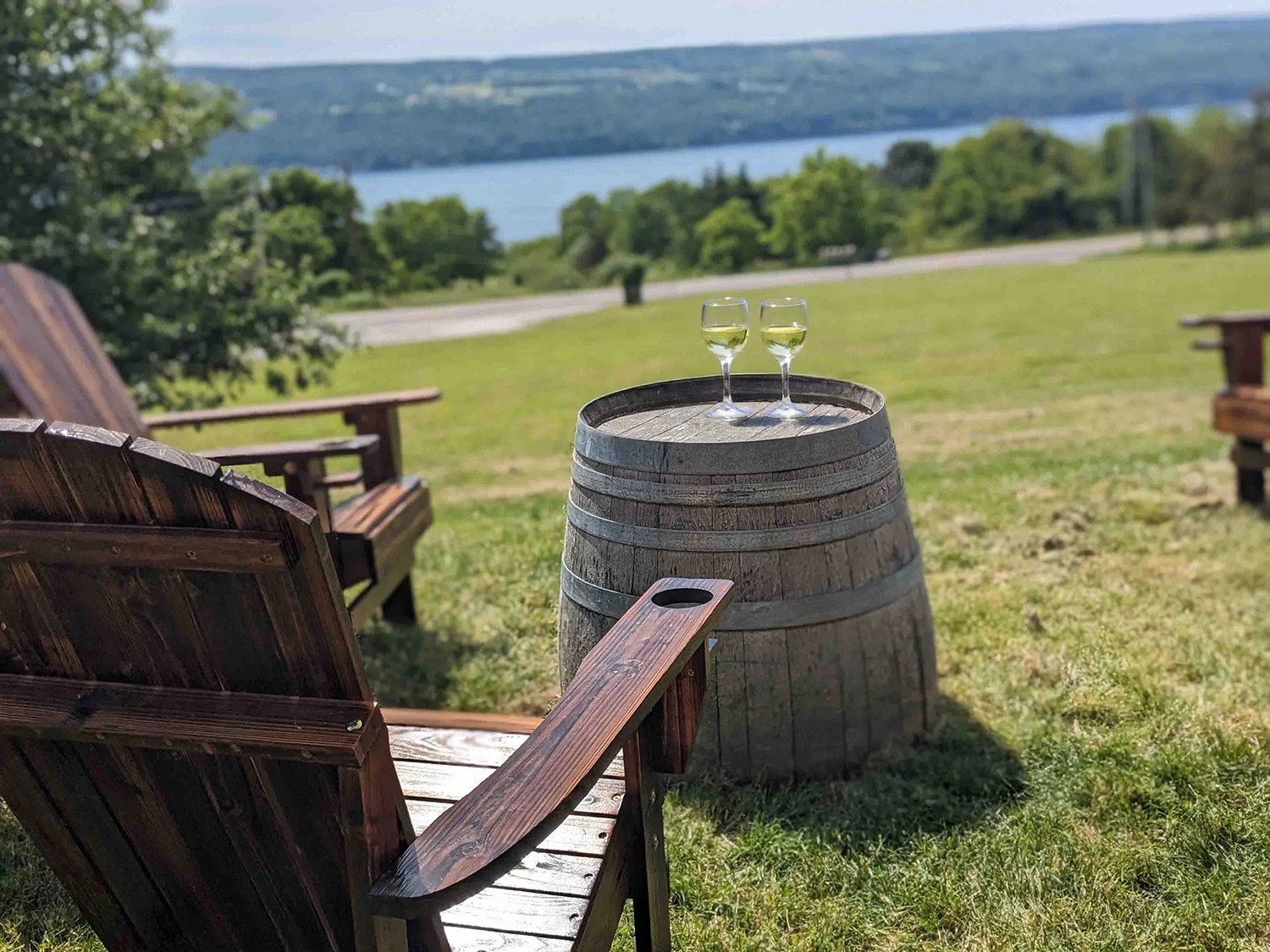 Wine glass overlooking Finger Lakes vineyards and lake views