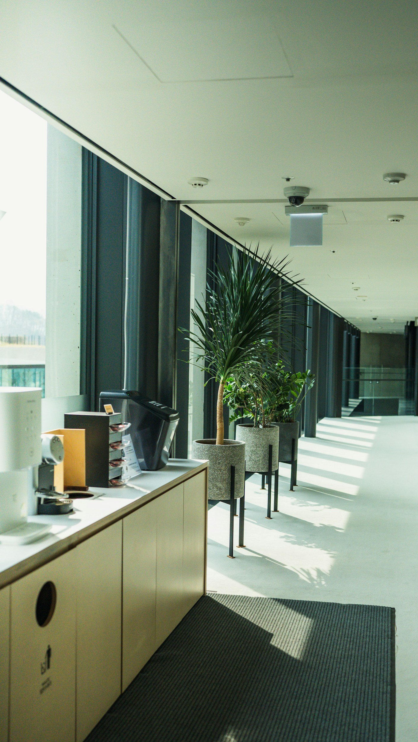 Modern office reception area with potted plants, a counter with coffee and supplies, and large windows allowing natural light.