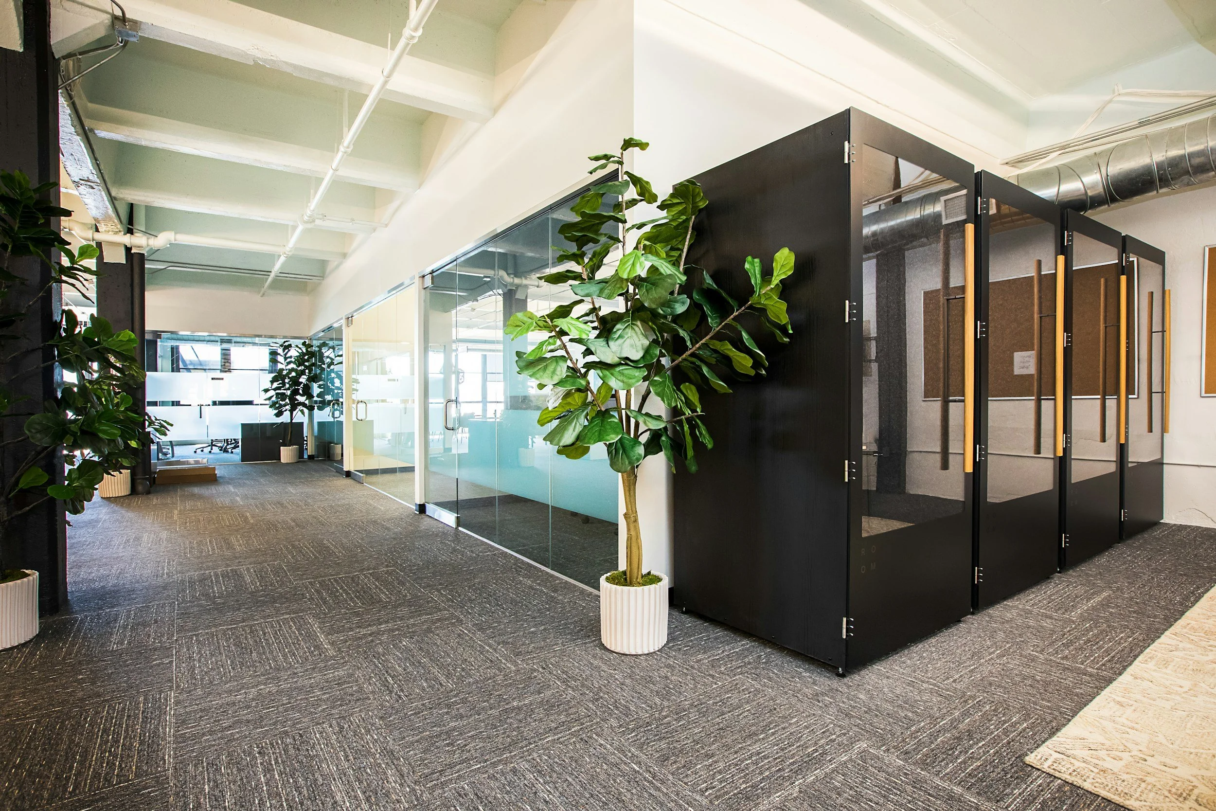 Office corridor with glass-walled meeting rooms, potted plants, and carpeted flooring.