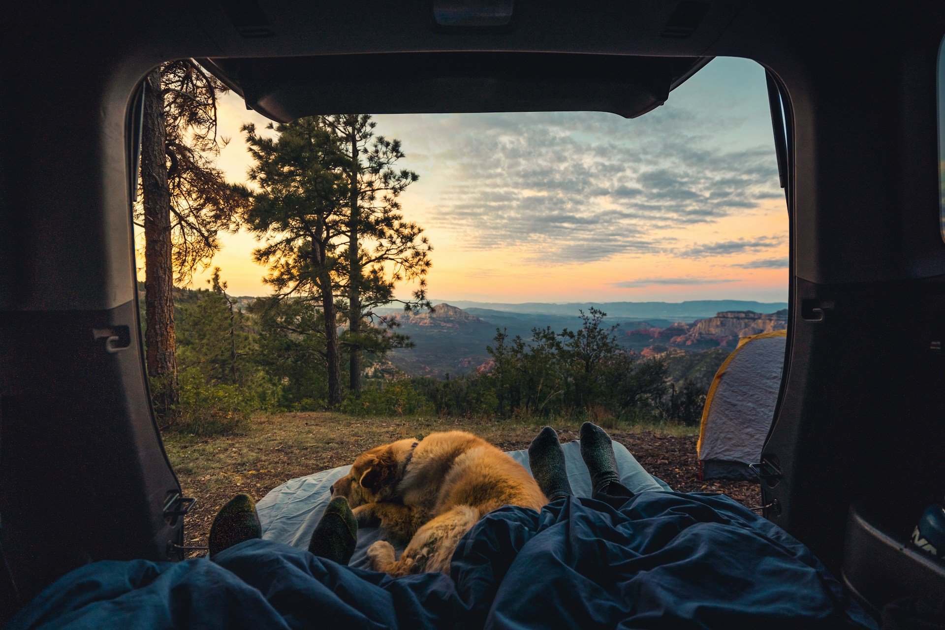 Van Life Tips for Traveling with Pets