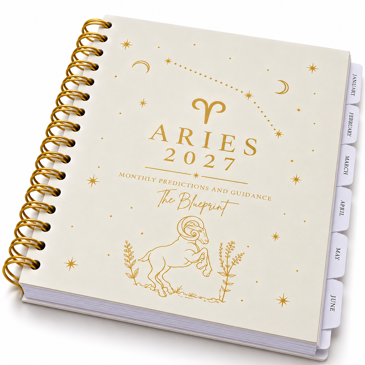 Elegant Aries 2027 Astrology Planner.png