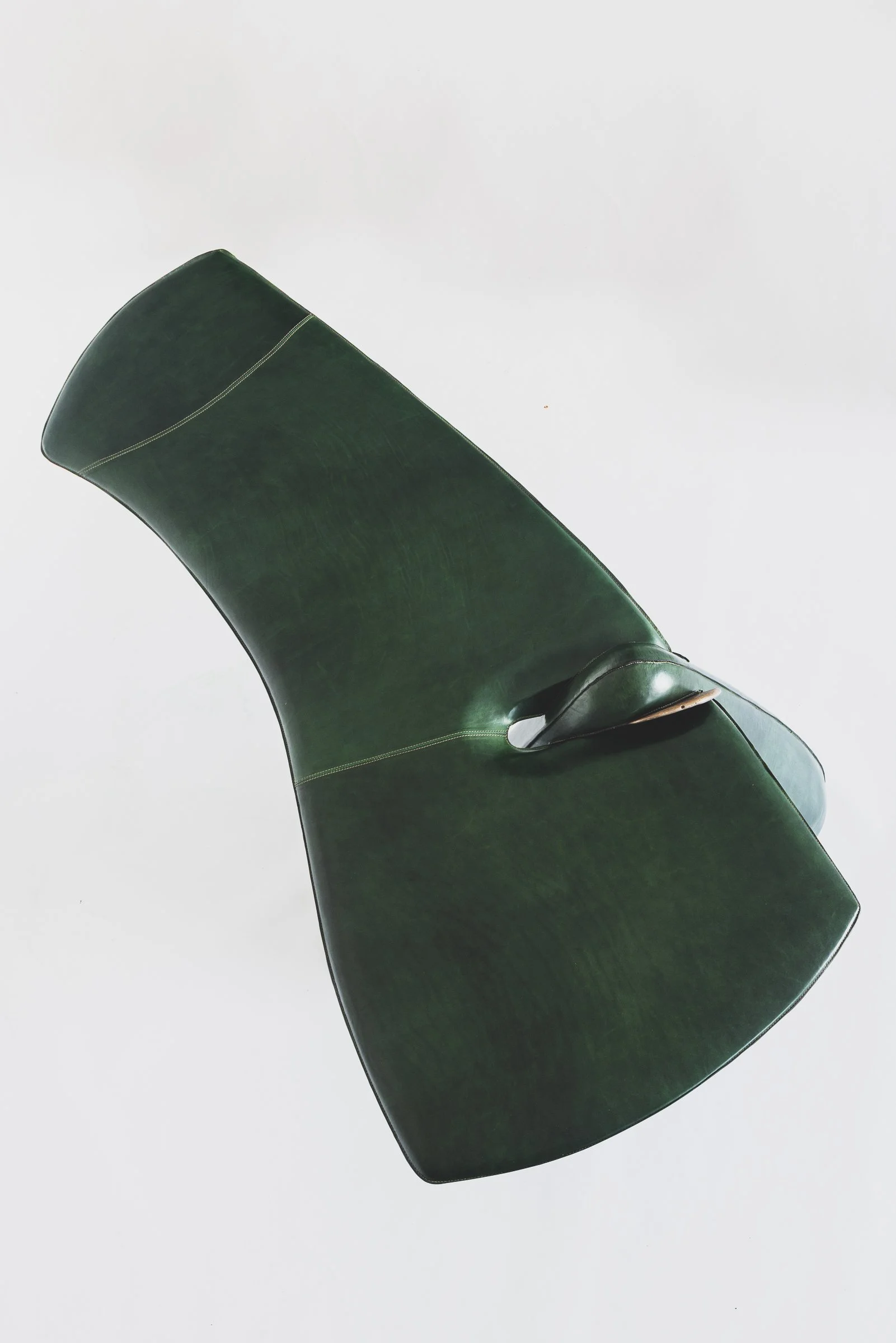 Green-fish-Mircea-Anghel_2025_@Manuel-Moniz_10.jpg