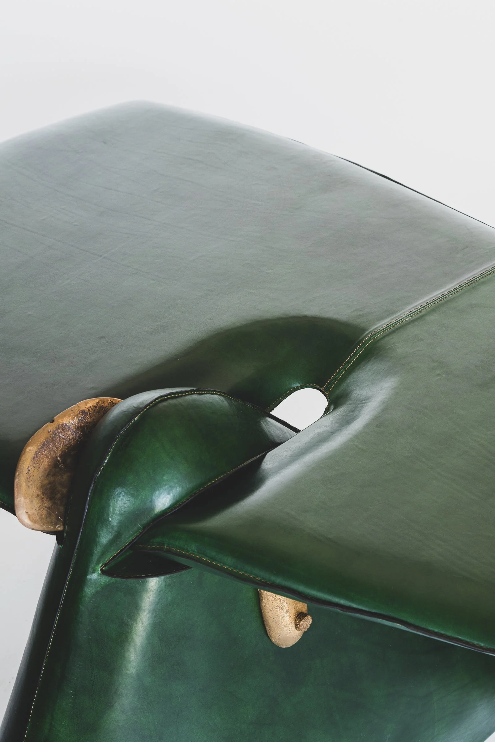 Green-fish-Mircea-Anghel_2025_@Manuel-Moniz_16.jpg