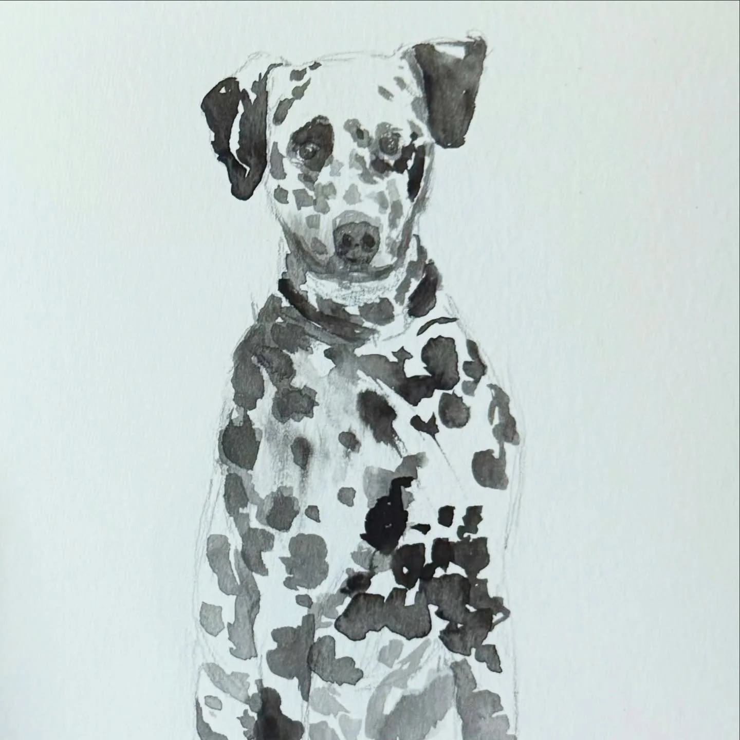 Gifts that capture memories 🤍