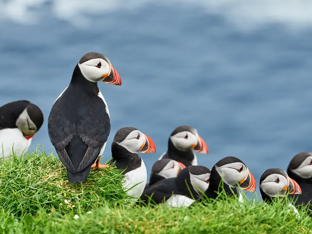 Mongabay: Uncertainty about weakening Atlantic currents isn’t a reason to wait but to act (commentary)