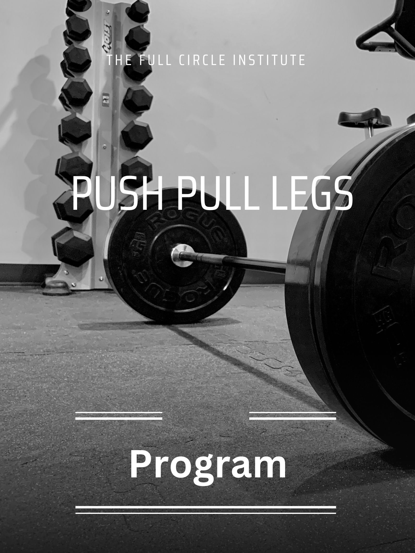 Push Pull Legs