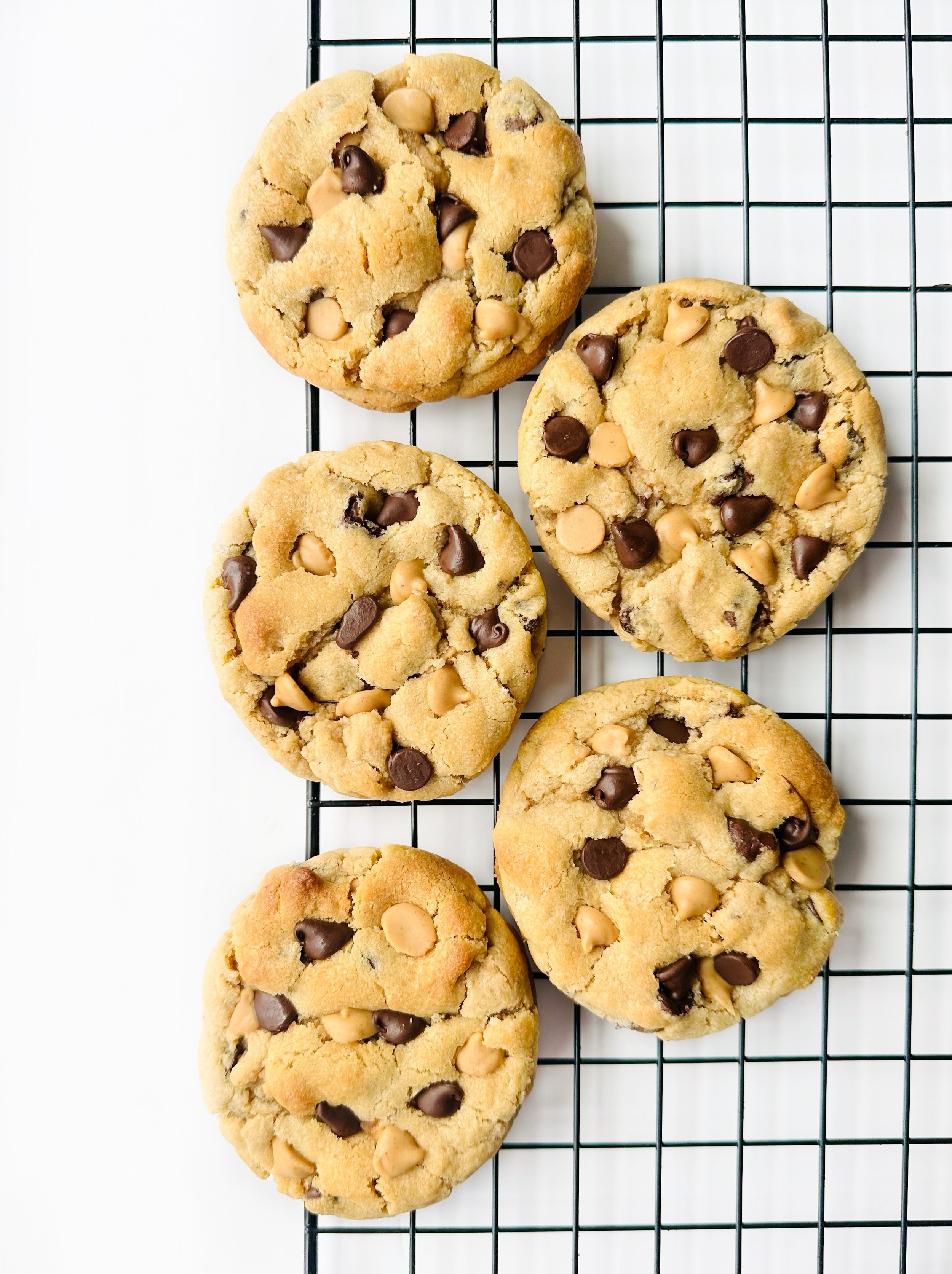 Peanut Butter Chocolate Chip
