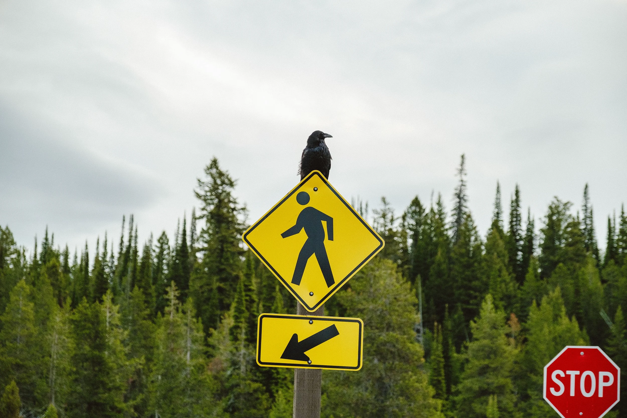 2023 The Tetons - 011.jpg