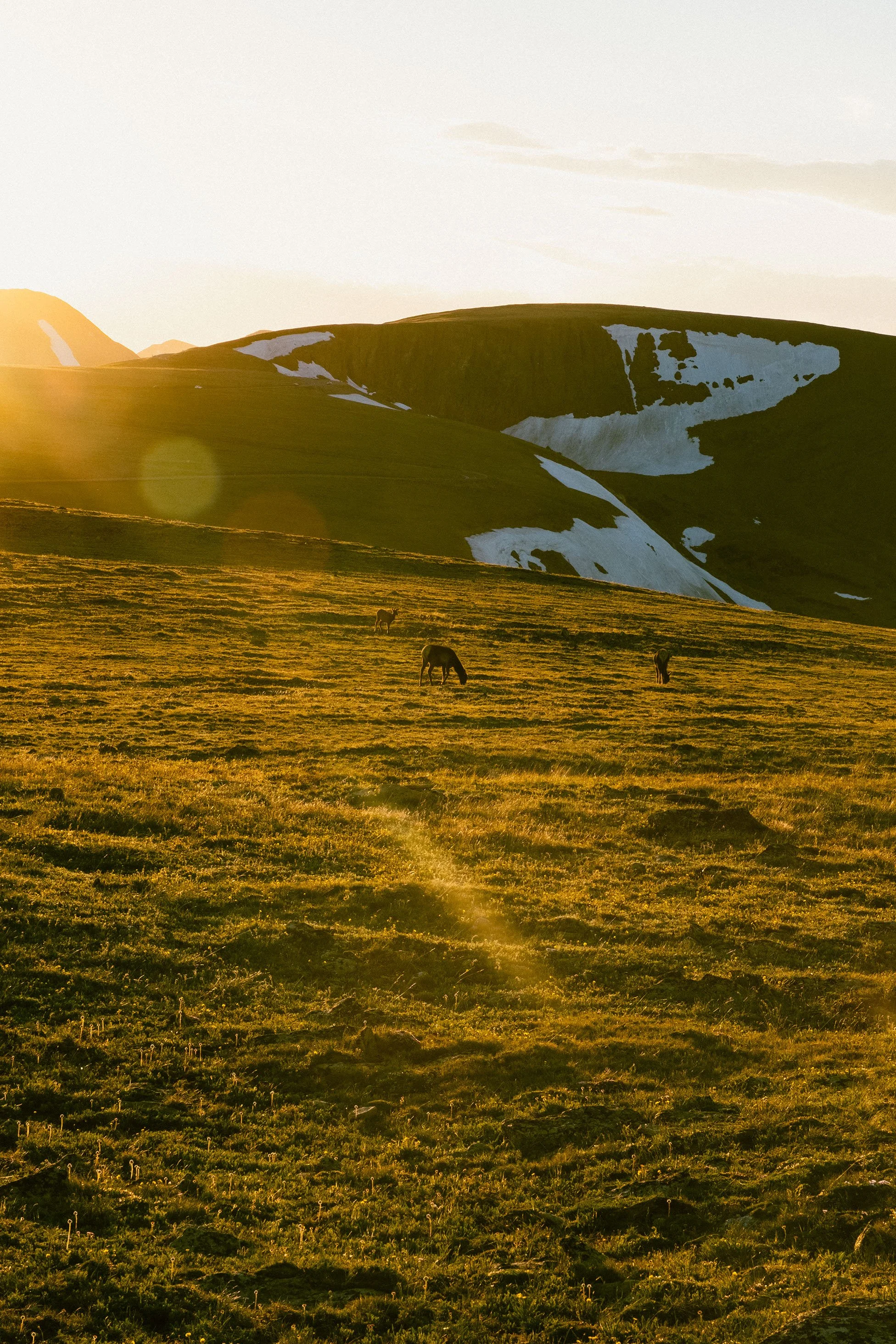 2023 Rocky Mountain Ntl Park - 002.jpg