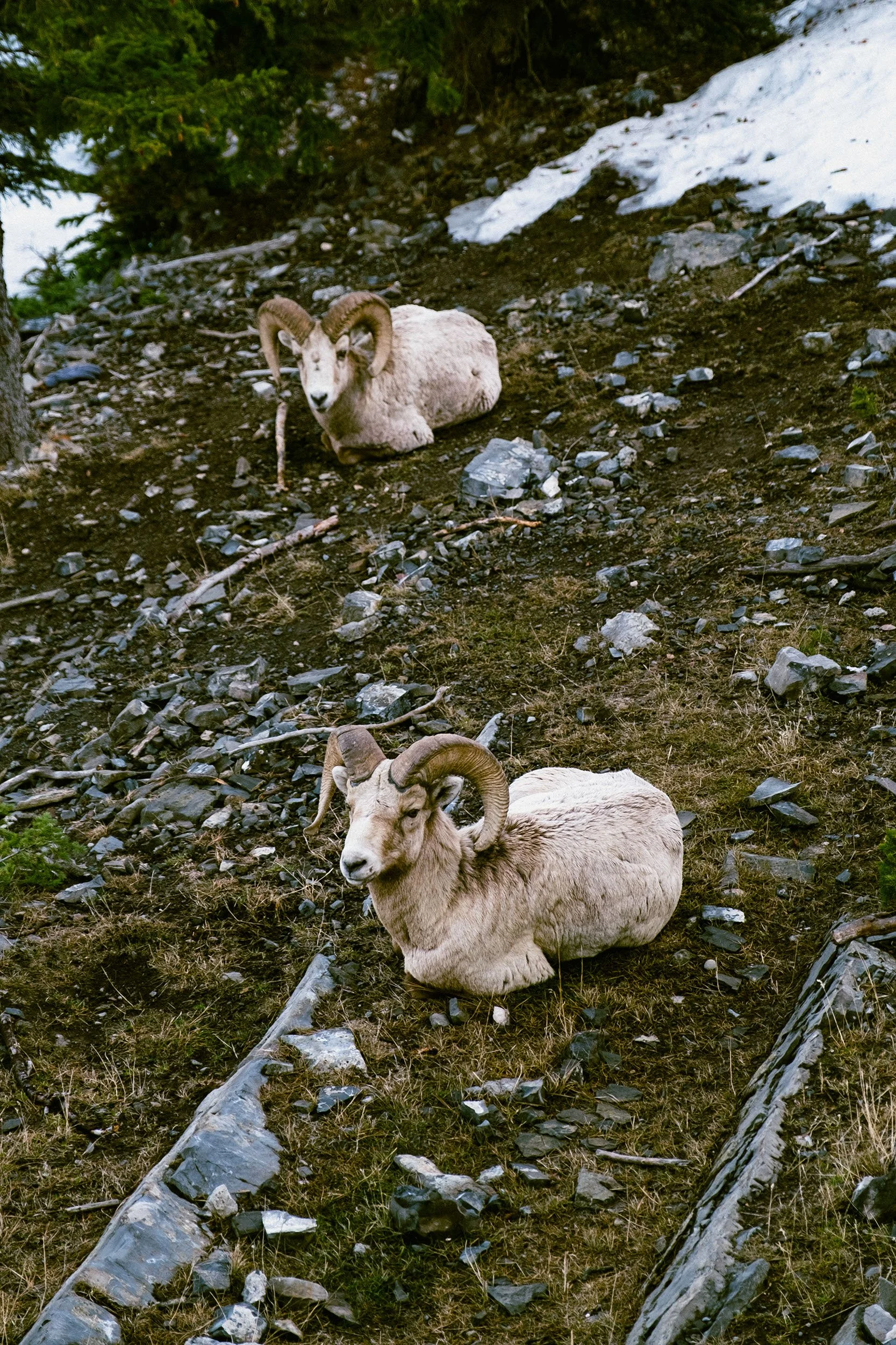 2023 The Gondola - 002.jpg