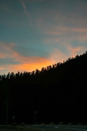 017_RUFA (WEB PREVIEW).jpg