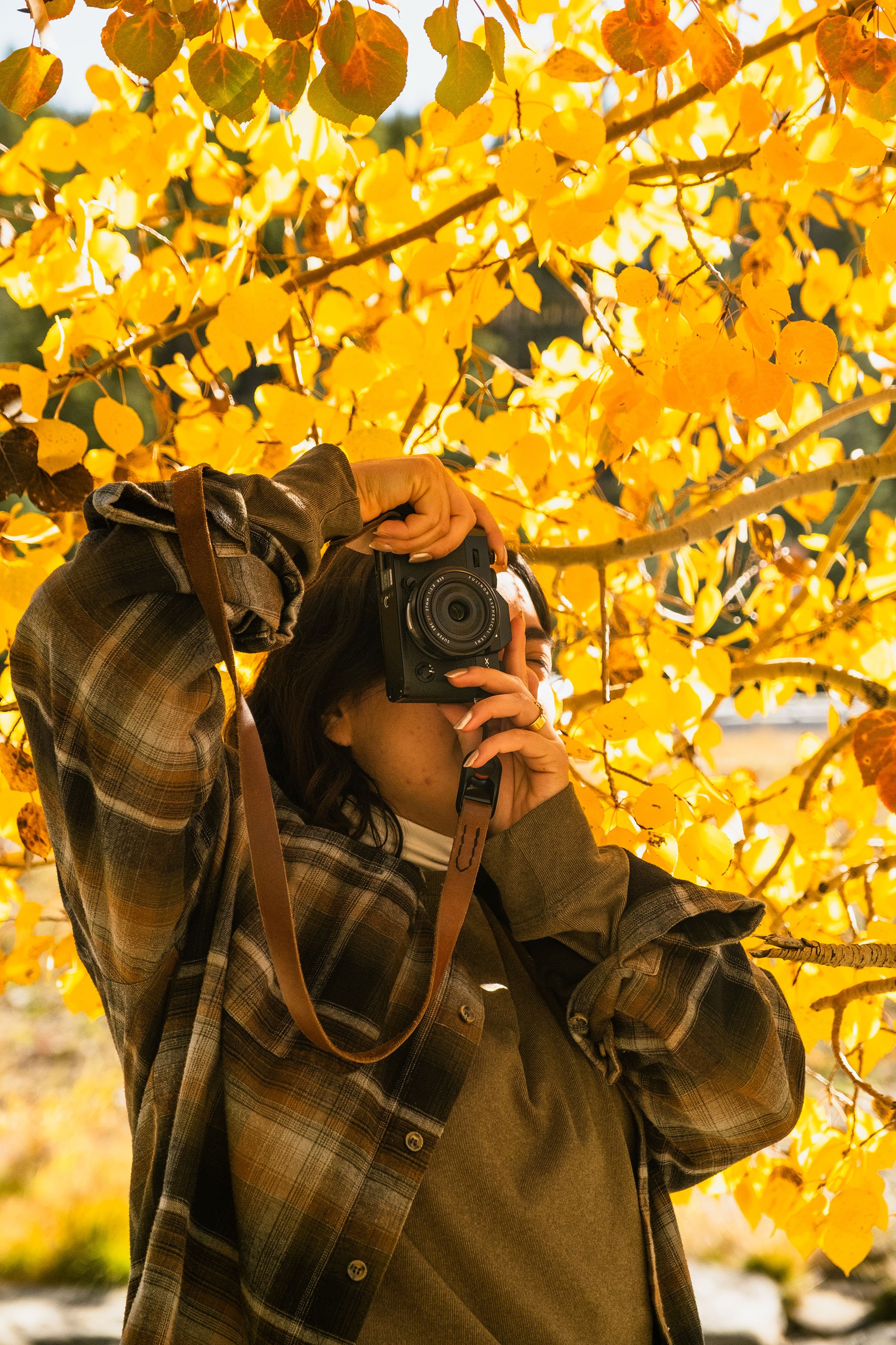 2023 Fallorado - 002.jpg