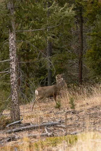 197_RUFA (WEB PREVIEW).jpg