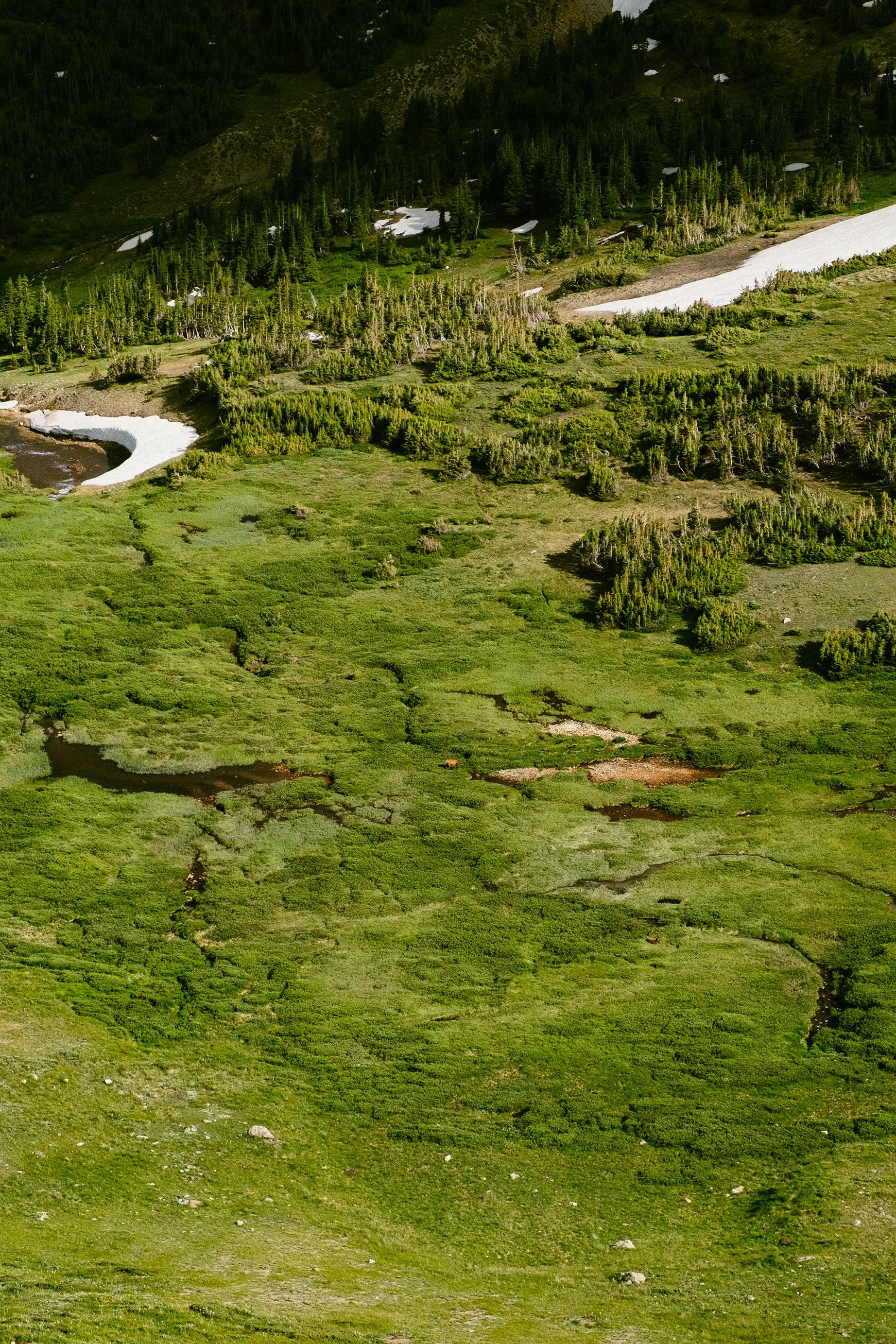 Rocky Mountain Ntl' Park