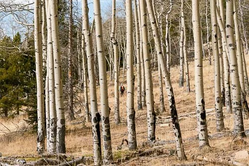 146_RUFA (WEB PREVIEW).jpg