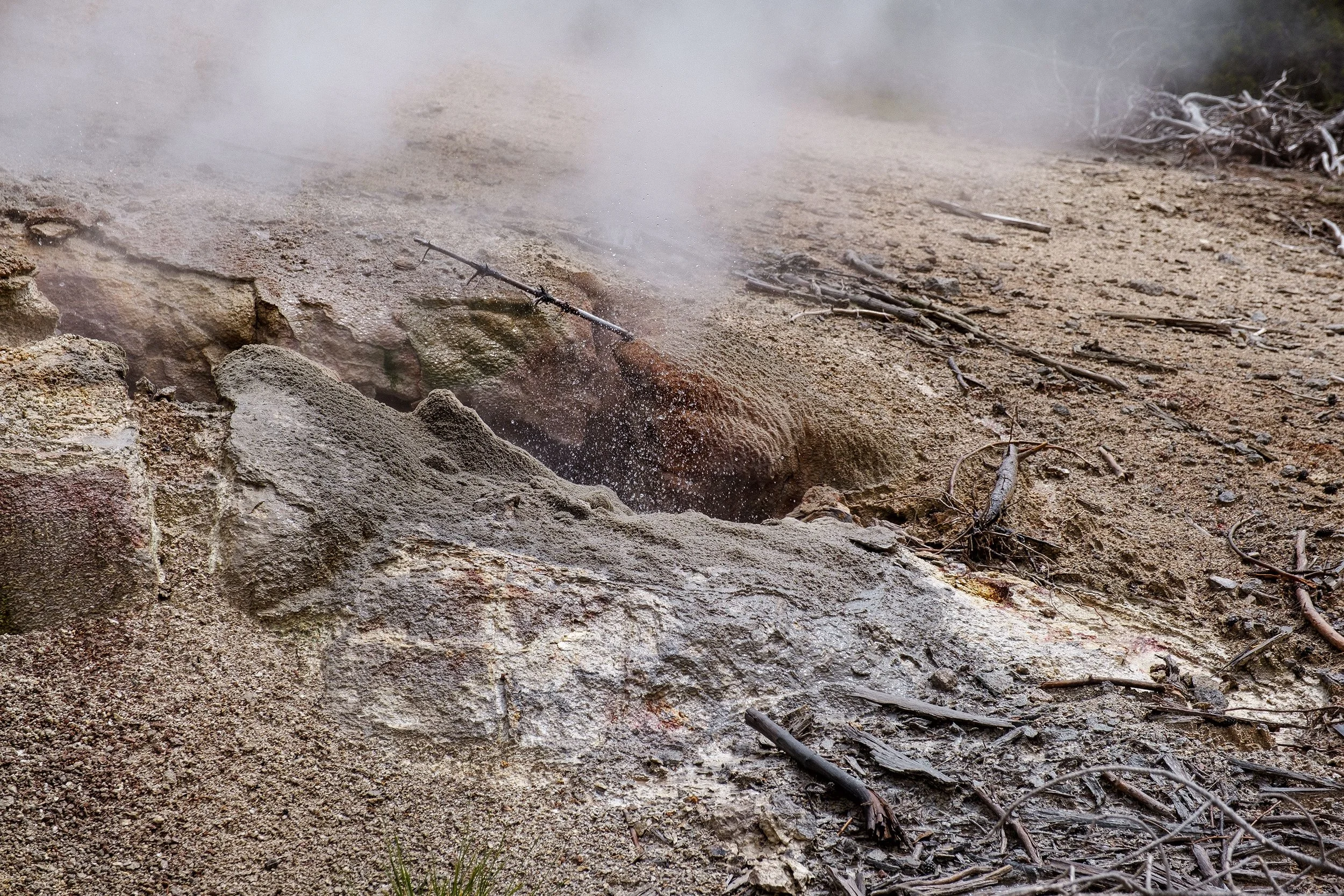 2023 Yellowstone - 010.jpg
