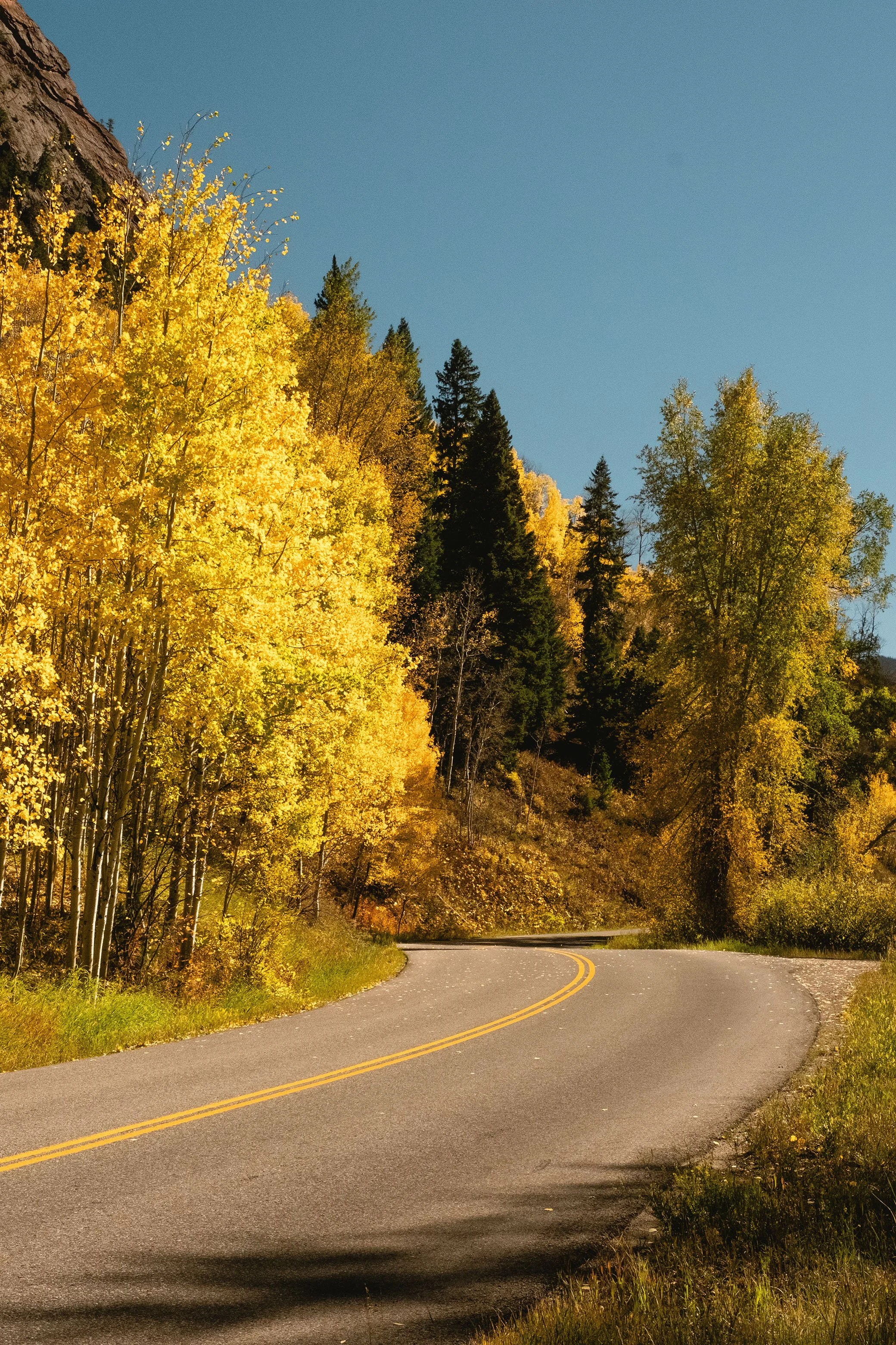 2023 Fallorado - 005.jpg