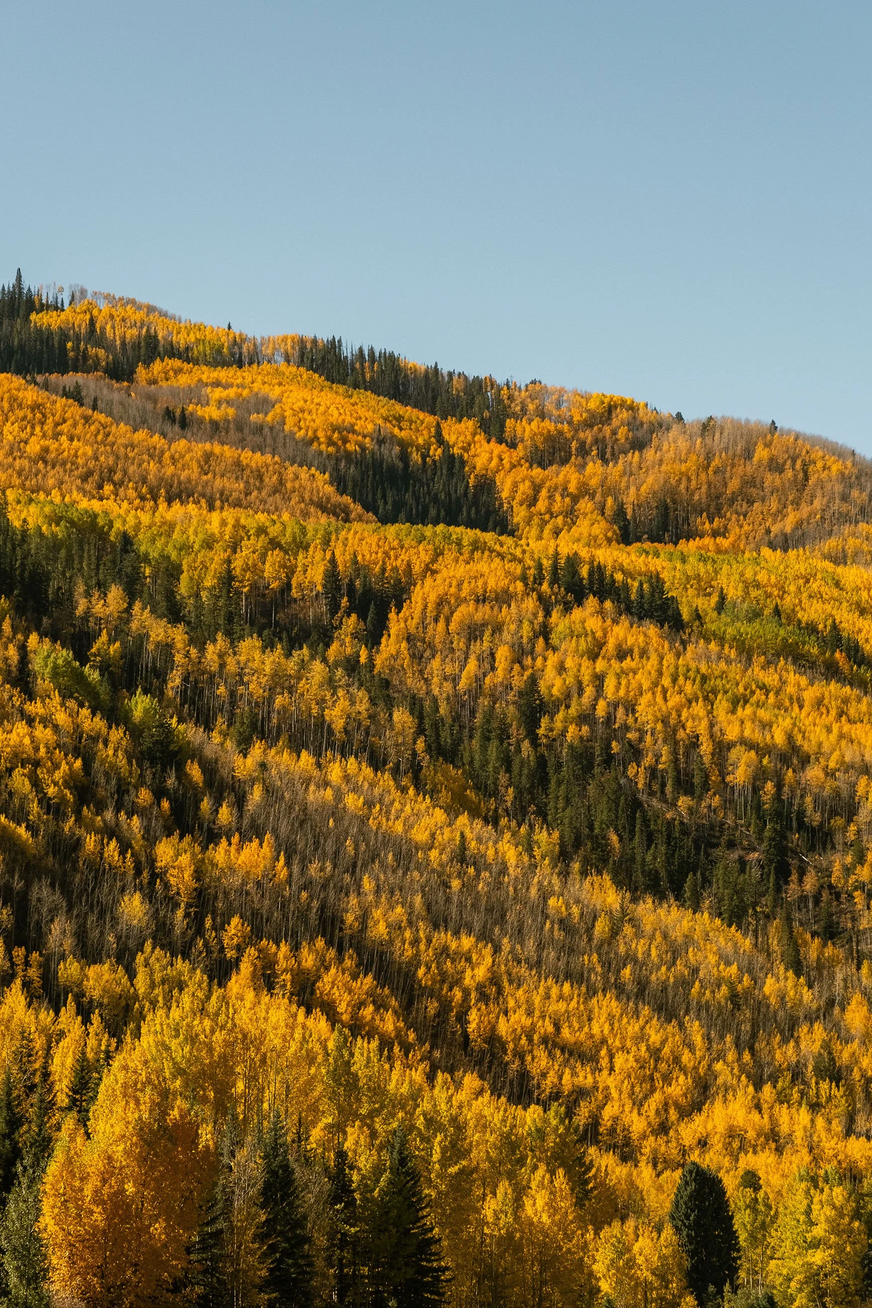 2023 Fallorado - 004.jpg