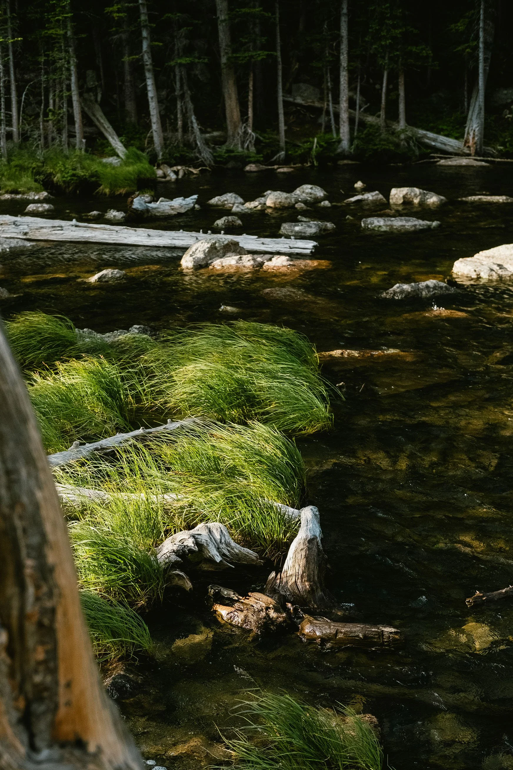 2023 Lake Hiyaha - 011.jpg