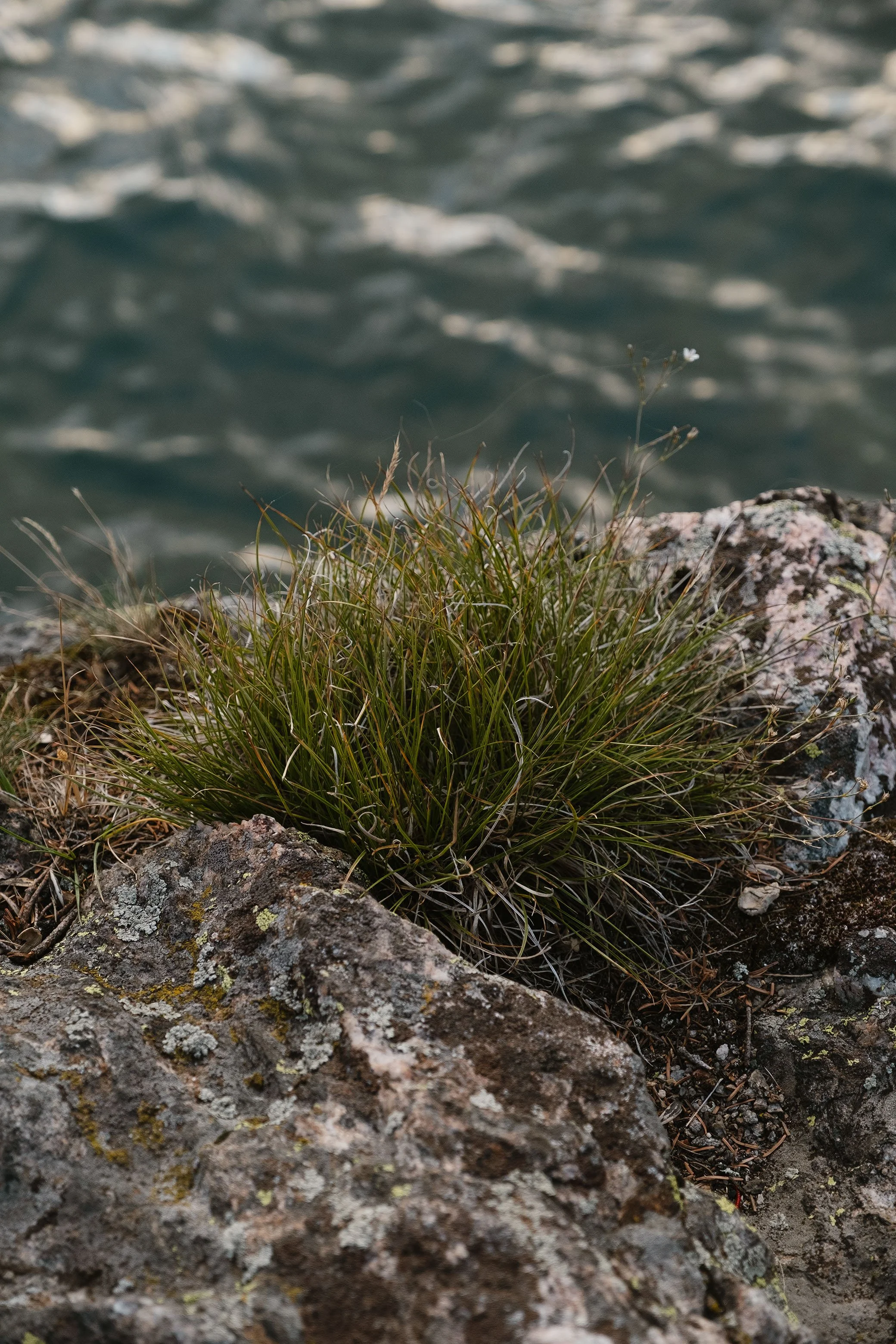 2023 Lake Hiyaha - 008.jpg