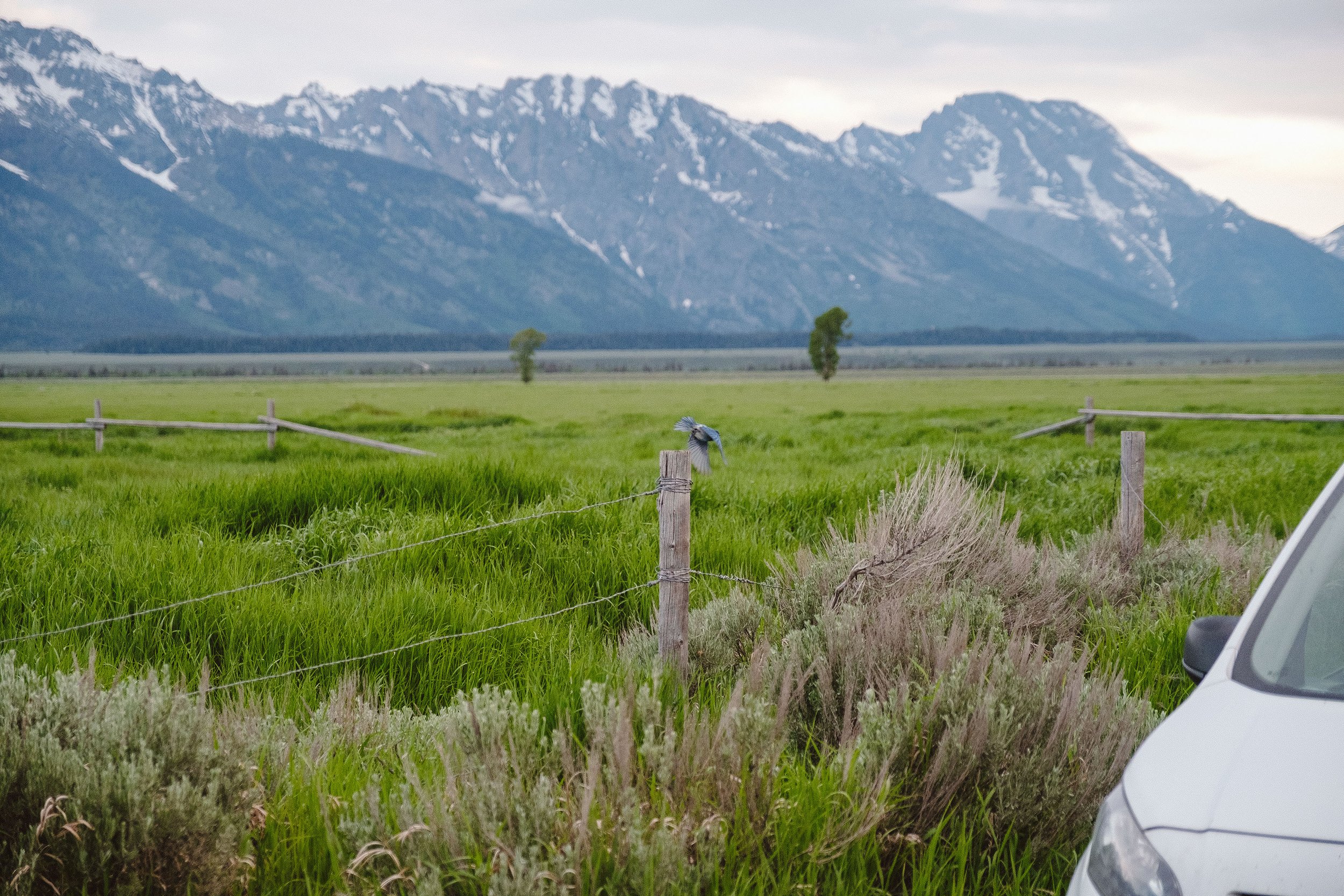 2023 The Tetons - 006.jpg