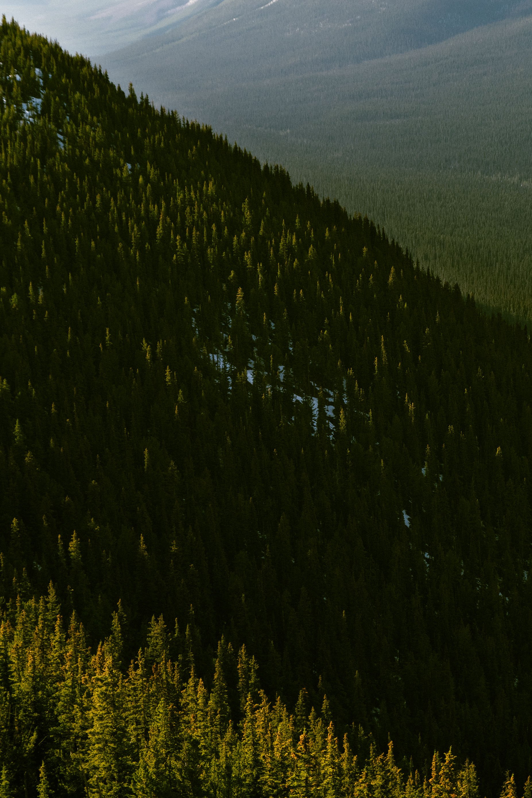 2023 The Gondola - 006.jpg