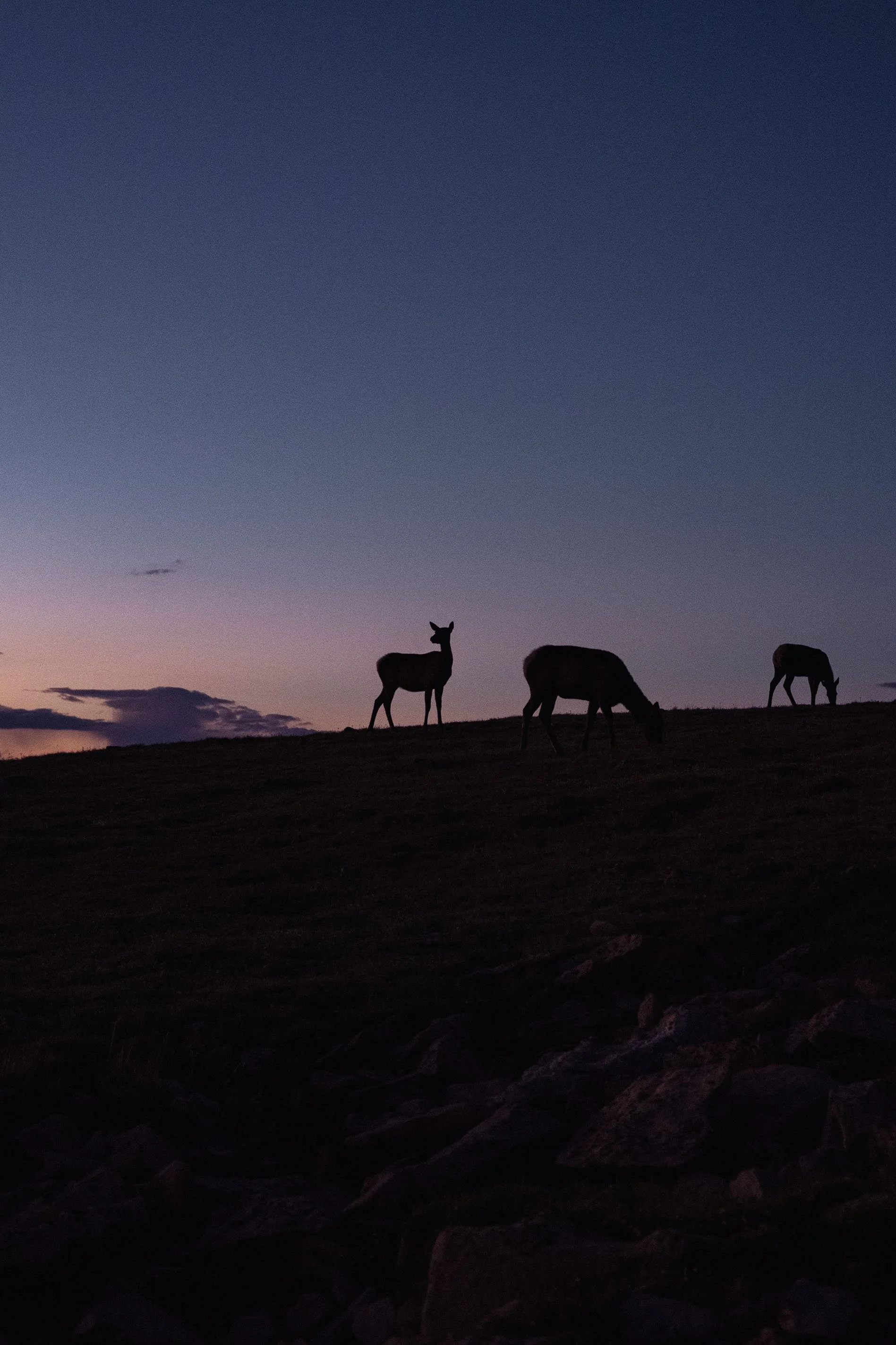 2023 Rocky Mountain Ntl Park - 003.jpg