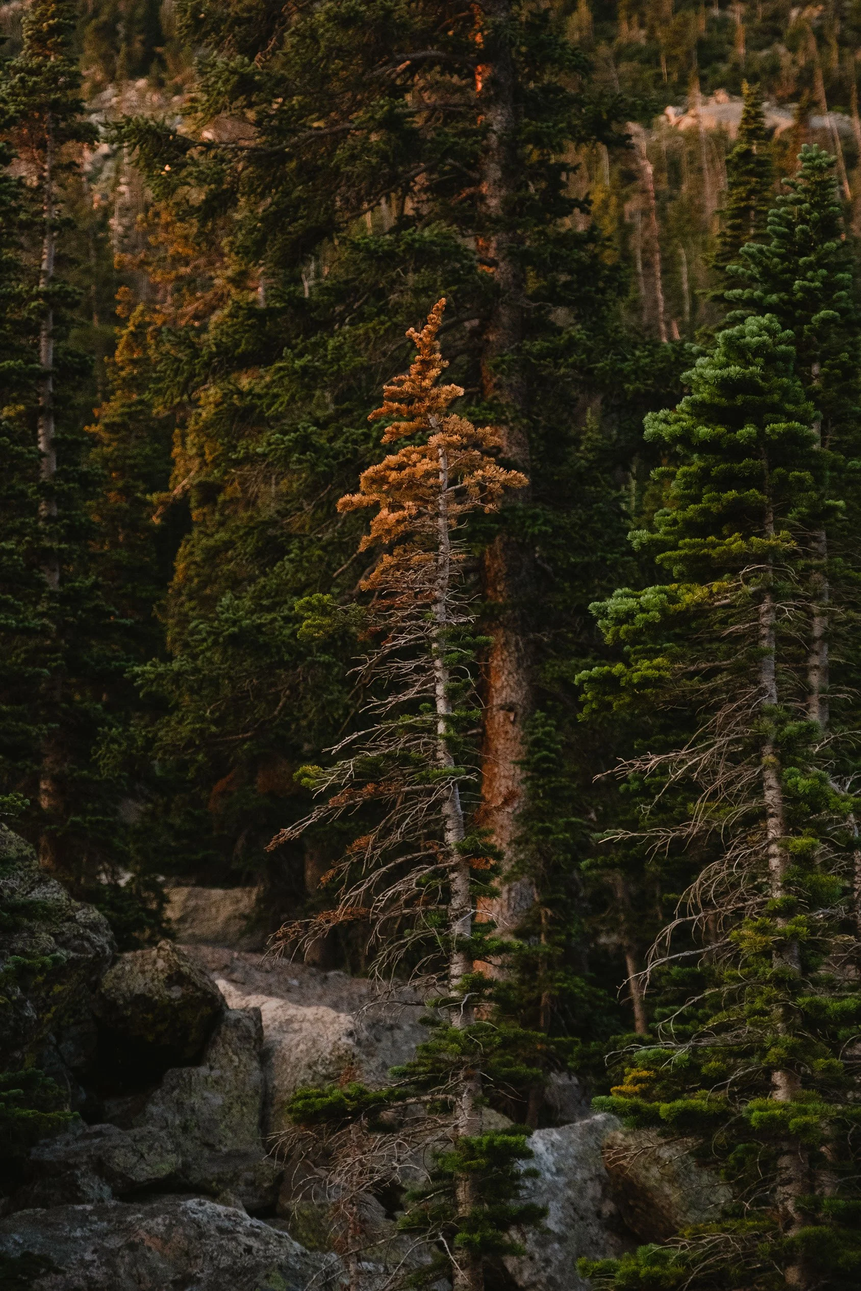 2023 Lake Hiyaha - 006.jpg