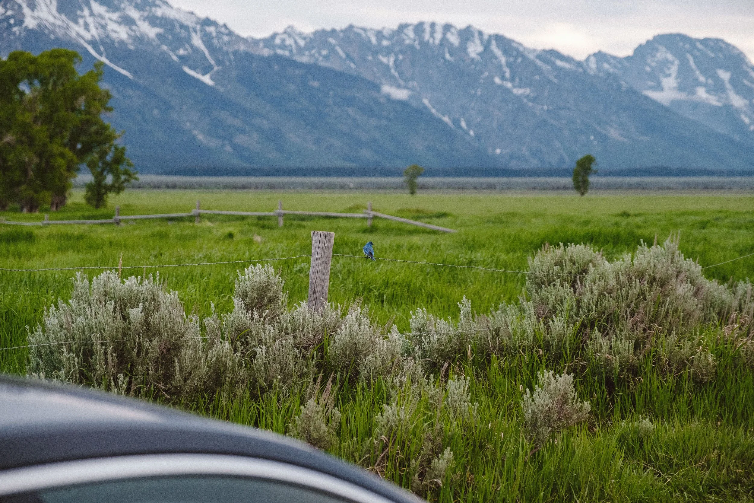 2023 The Tetons - 005.jpg