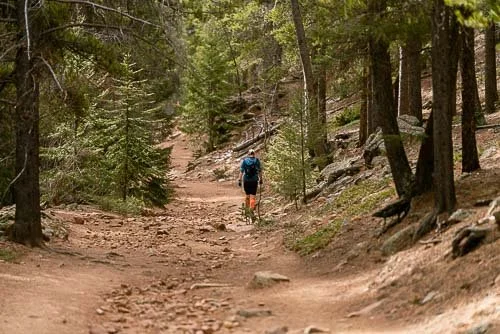 173_RUFA (WEB PREVIEW).jpg