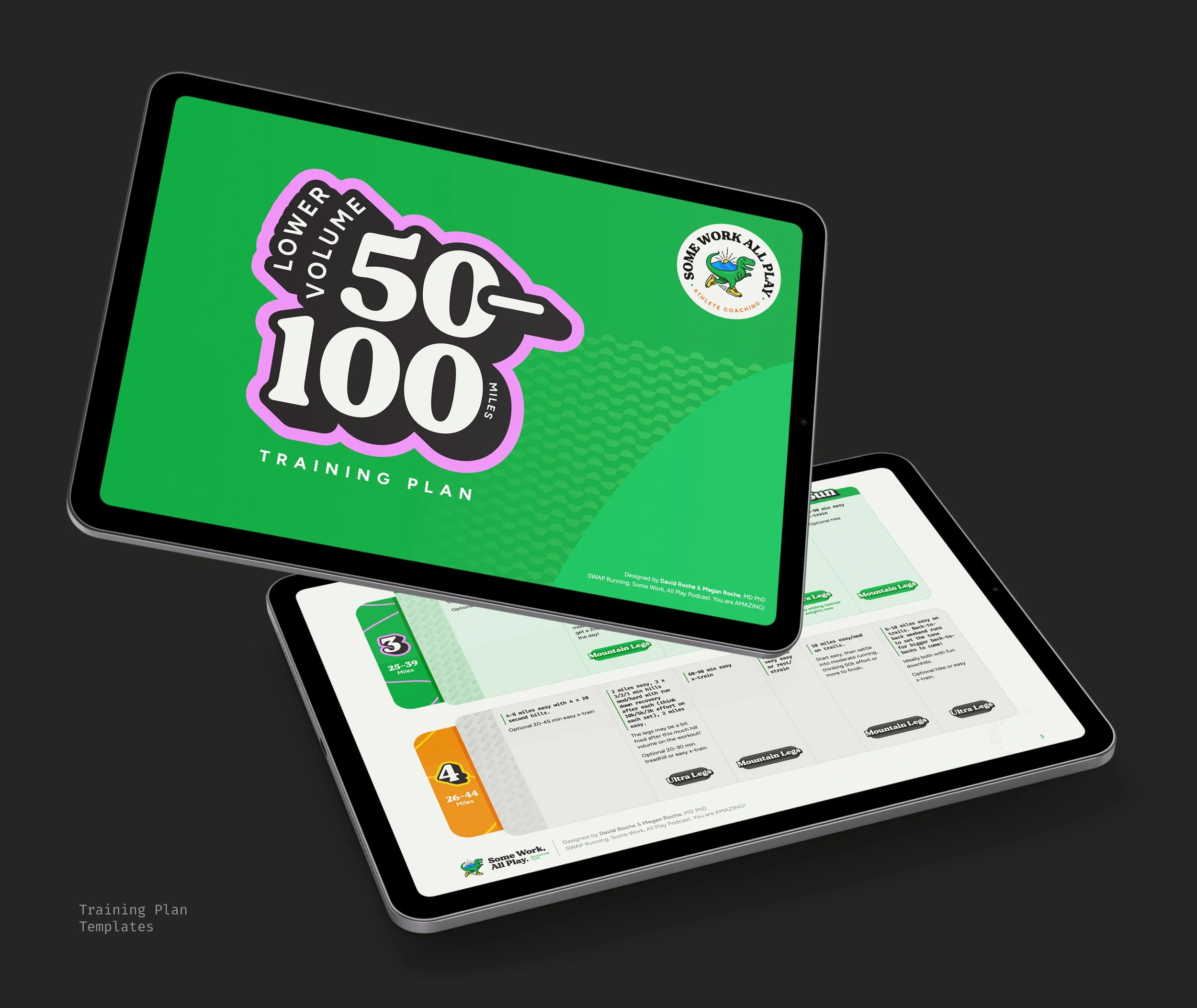 2025 SWAP Book Pages32.jpg