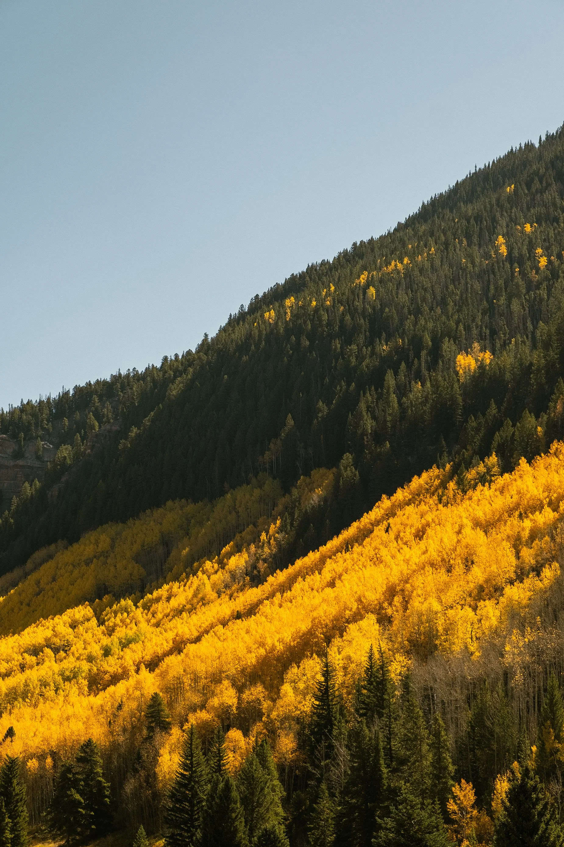 2023 Fallorado - 003.jpg