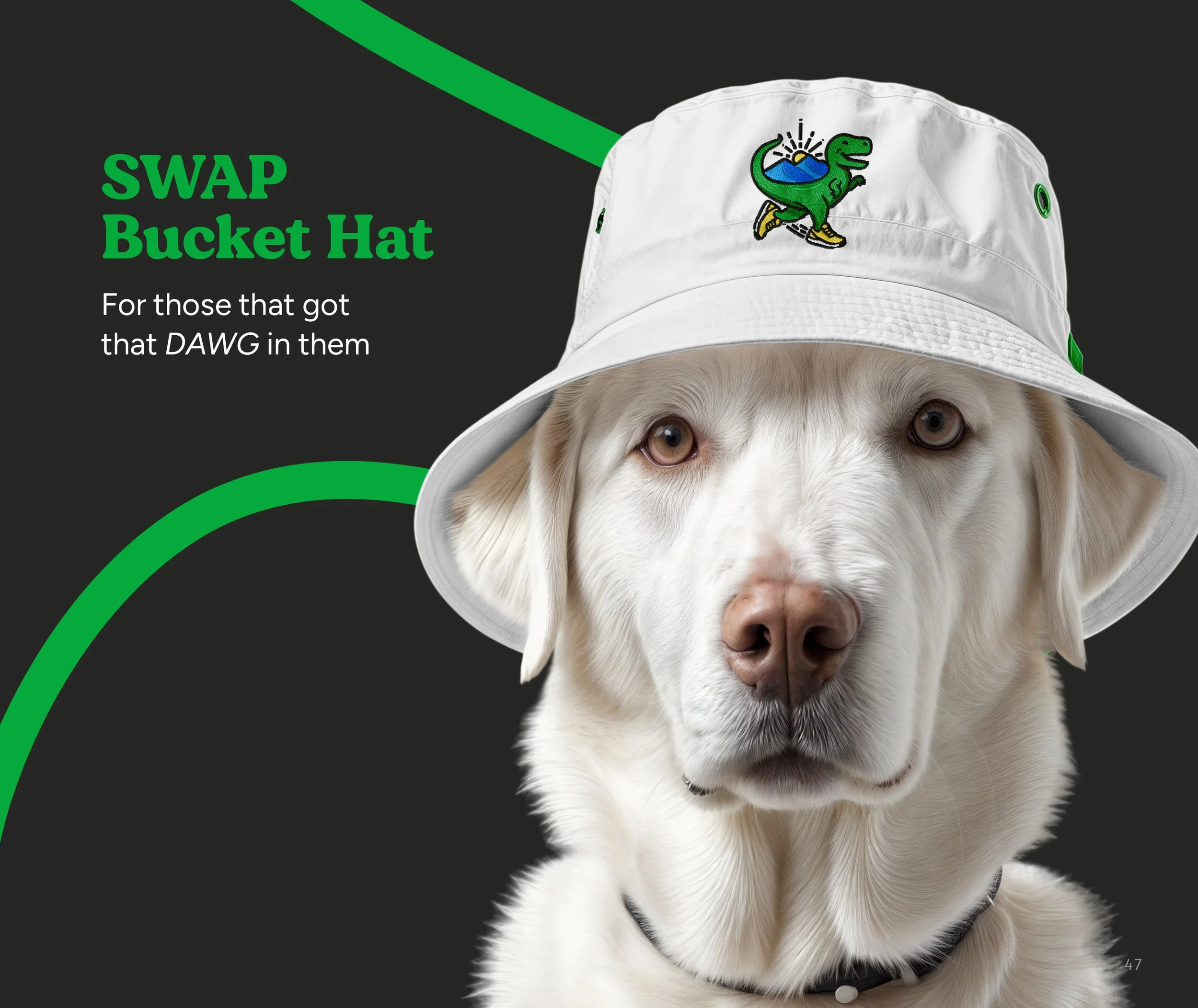 2025 SWAP Book Pages47.jpg