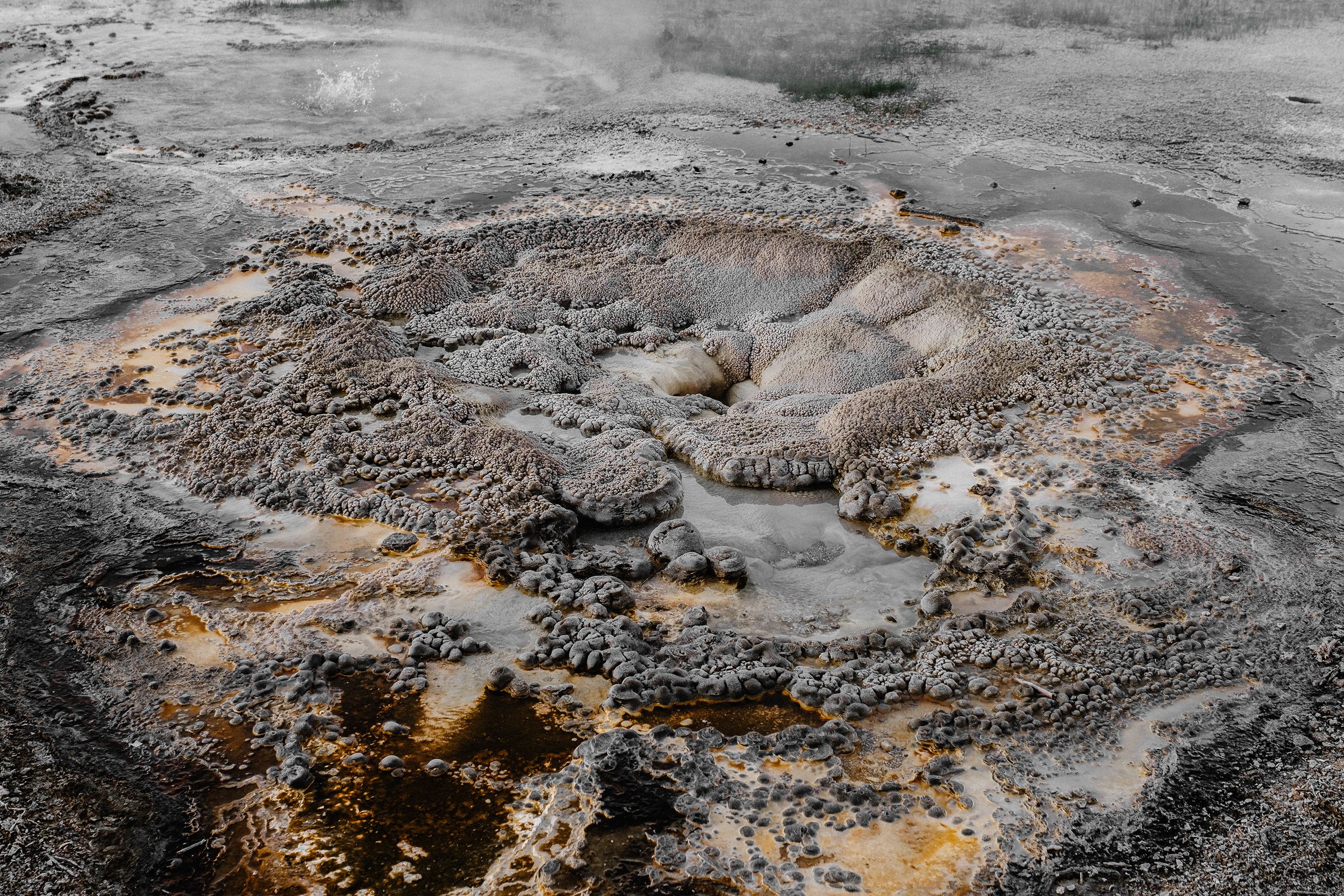 2023 Yellowstone - 004.jpg