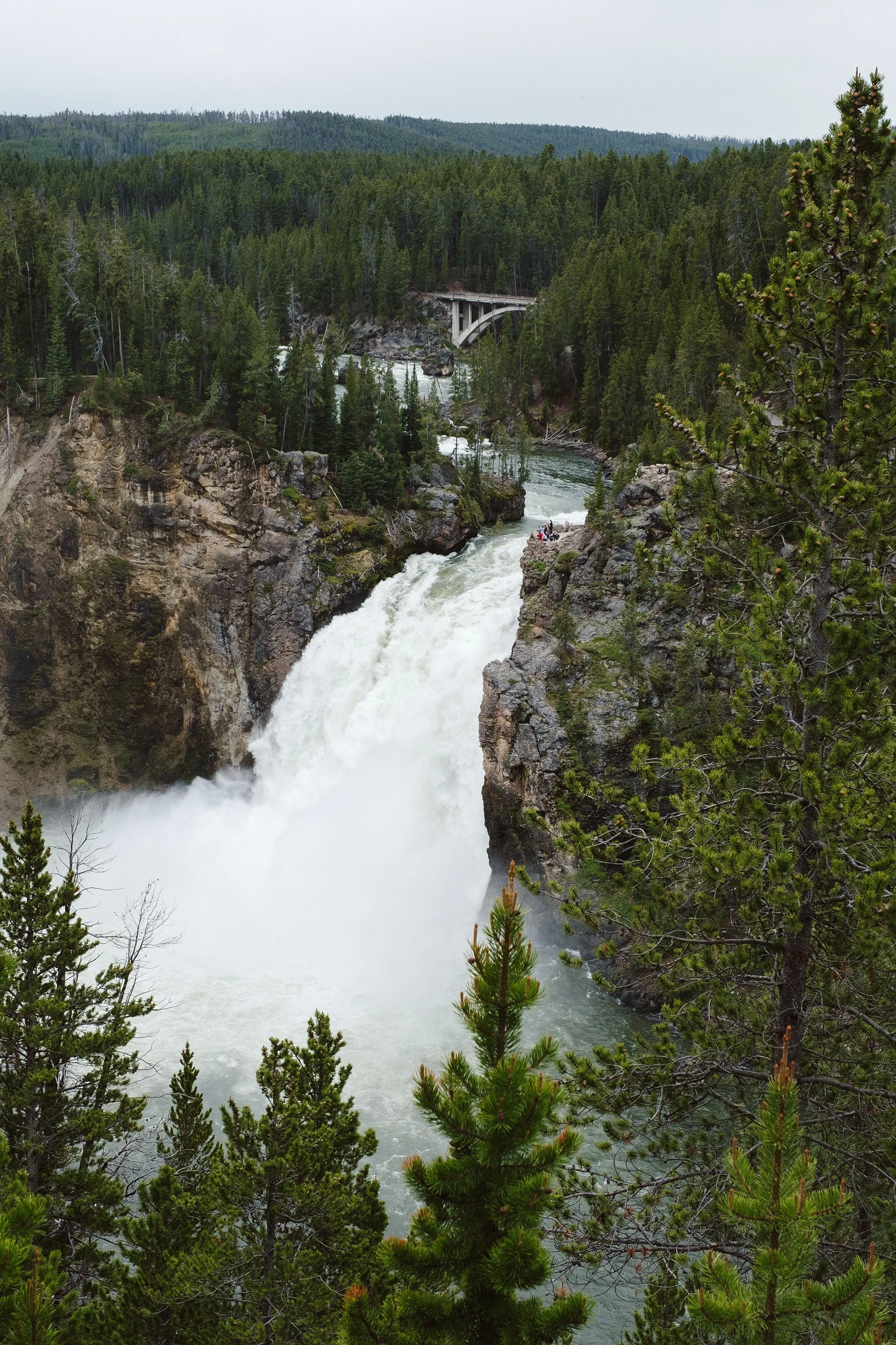 2023 Yellowstone - 021.jpg