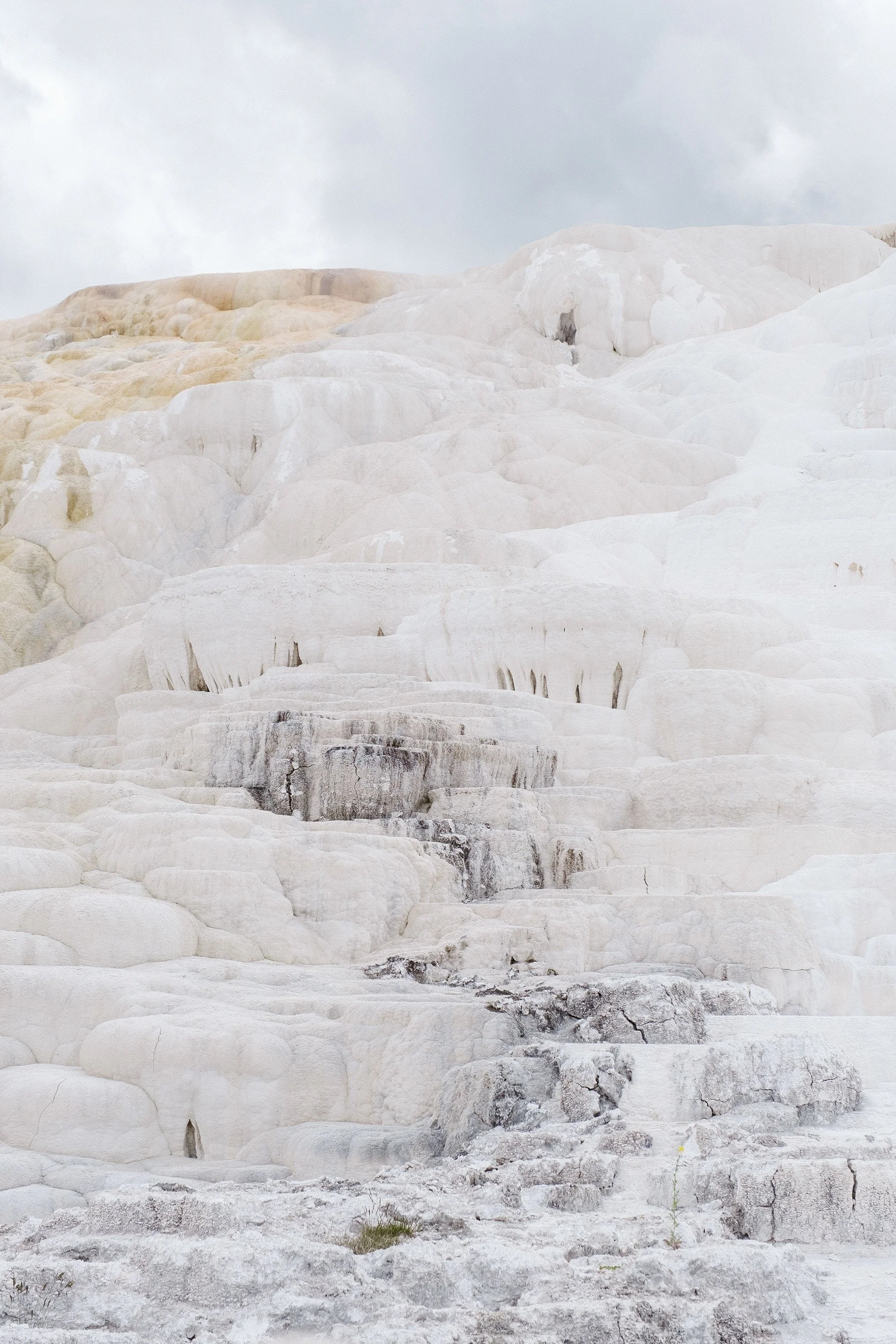 2023 Yellowstone - 014.jpg