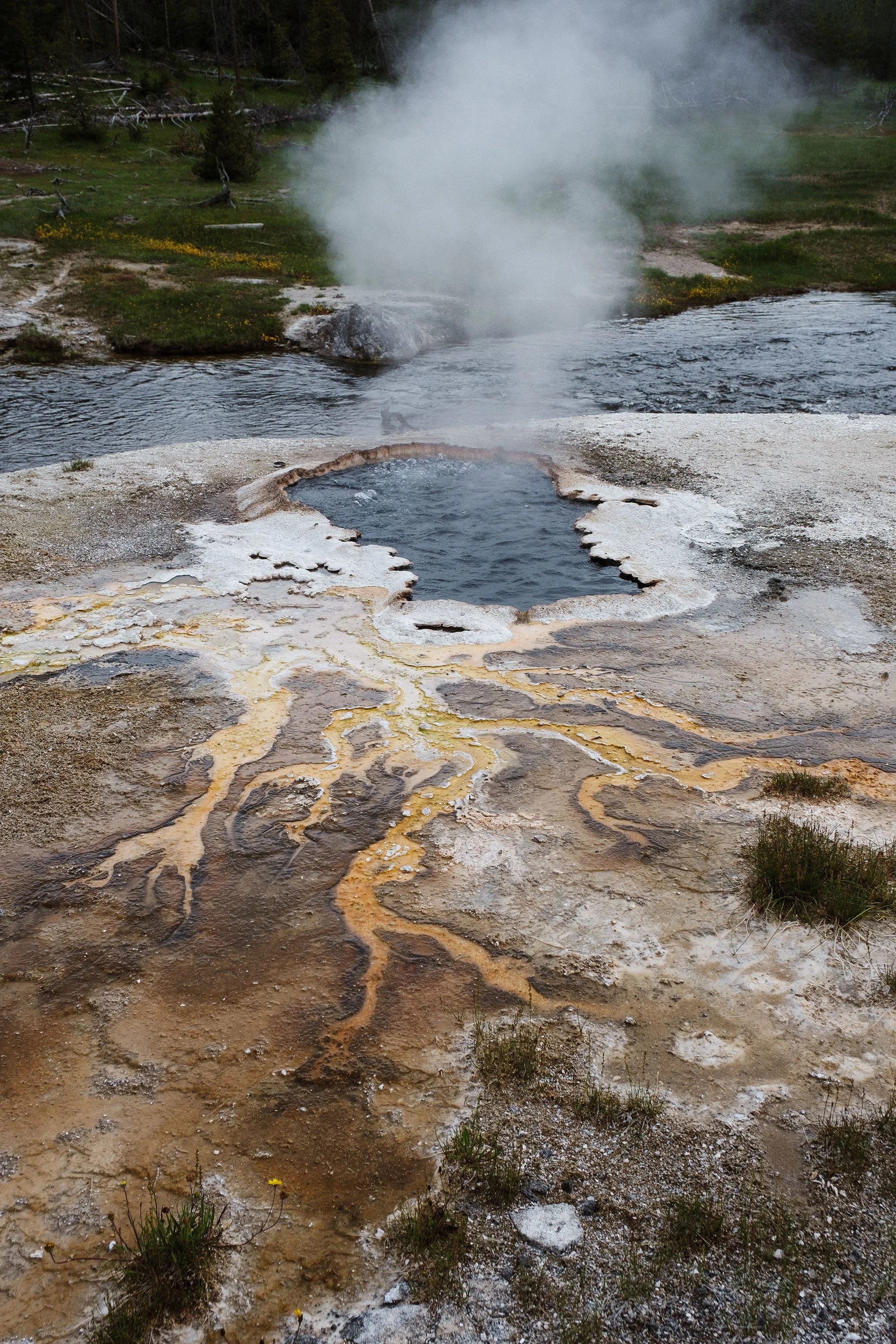 2023 Yellowstone - 006.jpg