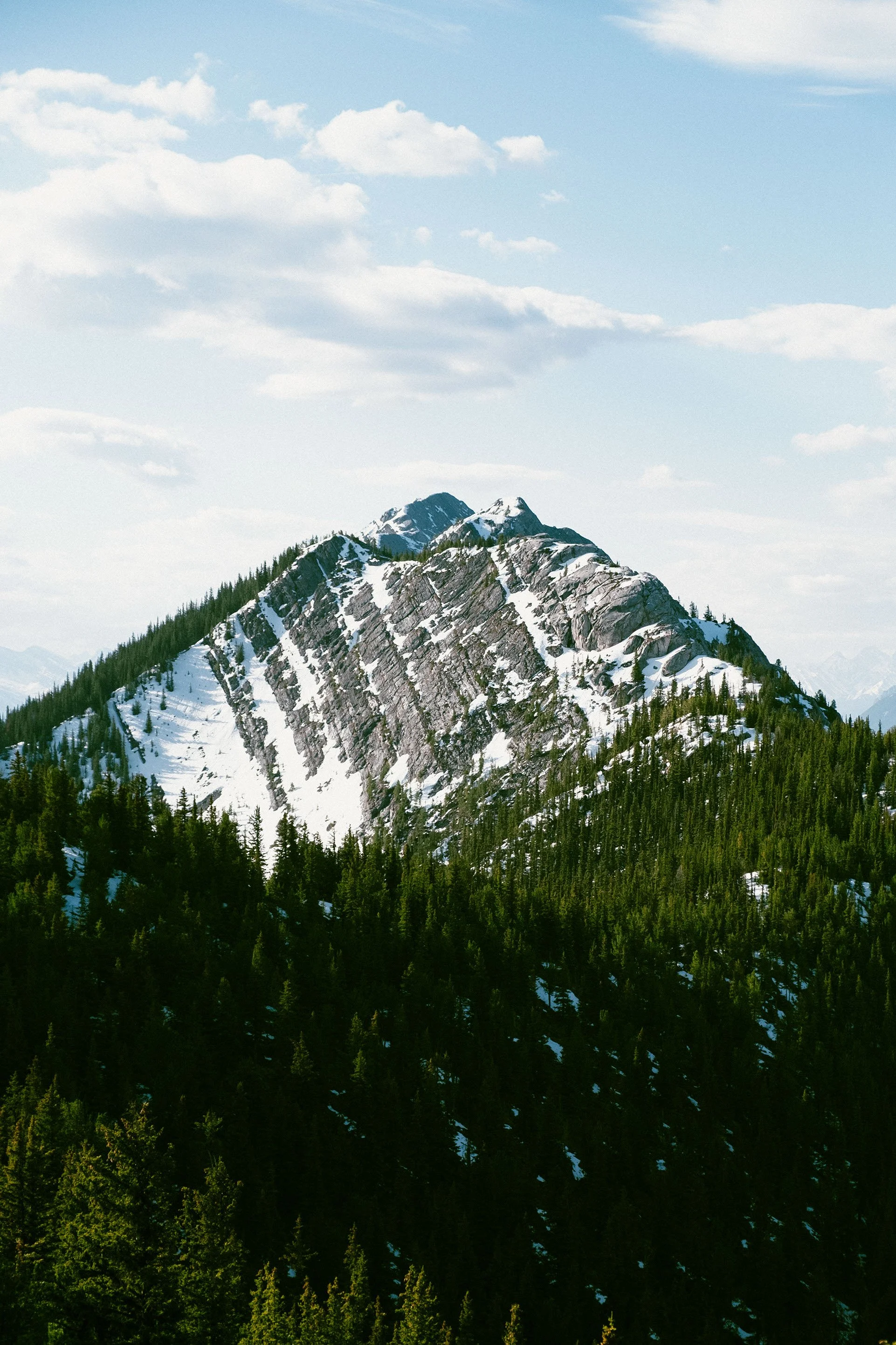 2023 The Gondola - 004.jpg