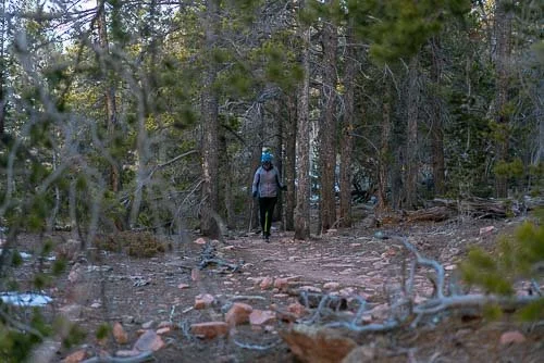 074_RUFA (WEB PREVIEW).jpg