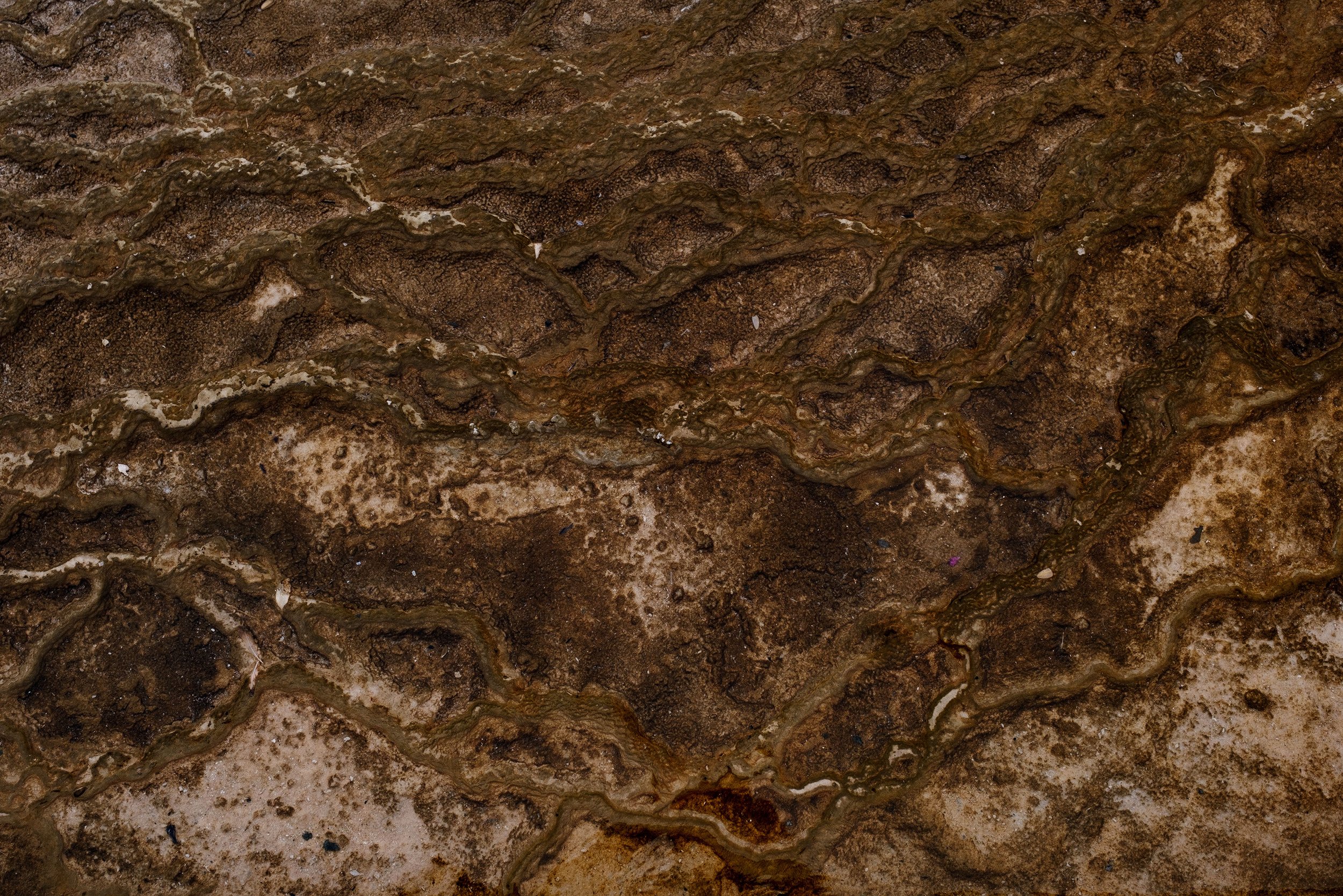 2023 Yellowstone - 007.jpg