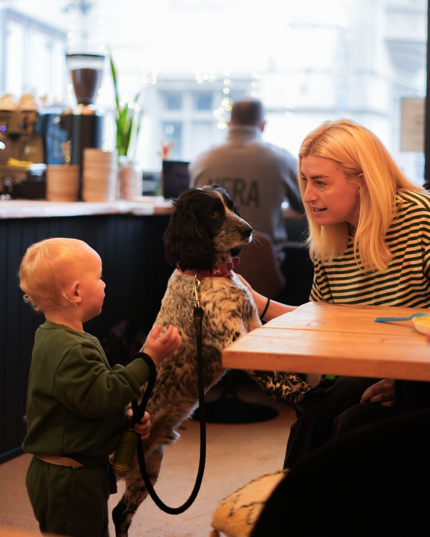 Everyone is welcome at Dough- four legged friends, kids and the whole family! 💛 

#doughhereford #brunchhereford #herefordfood