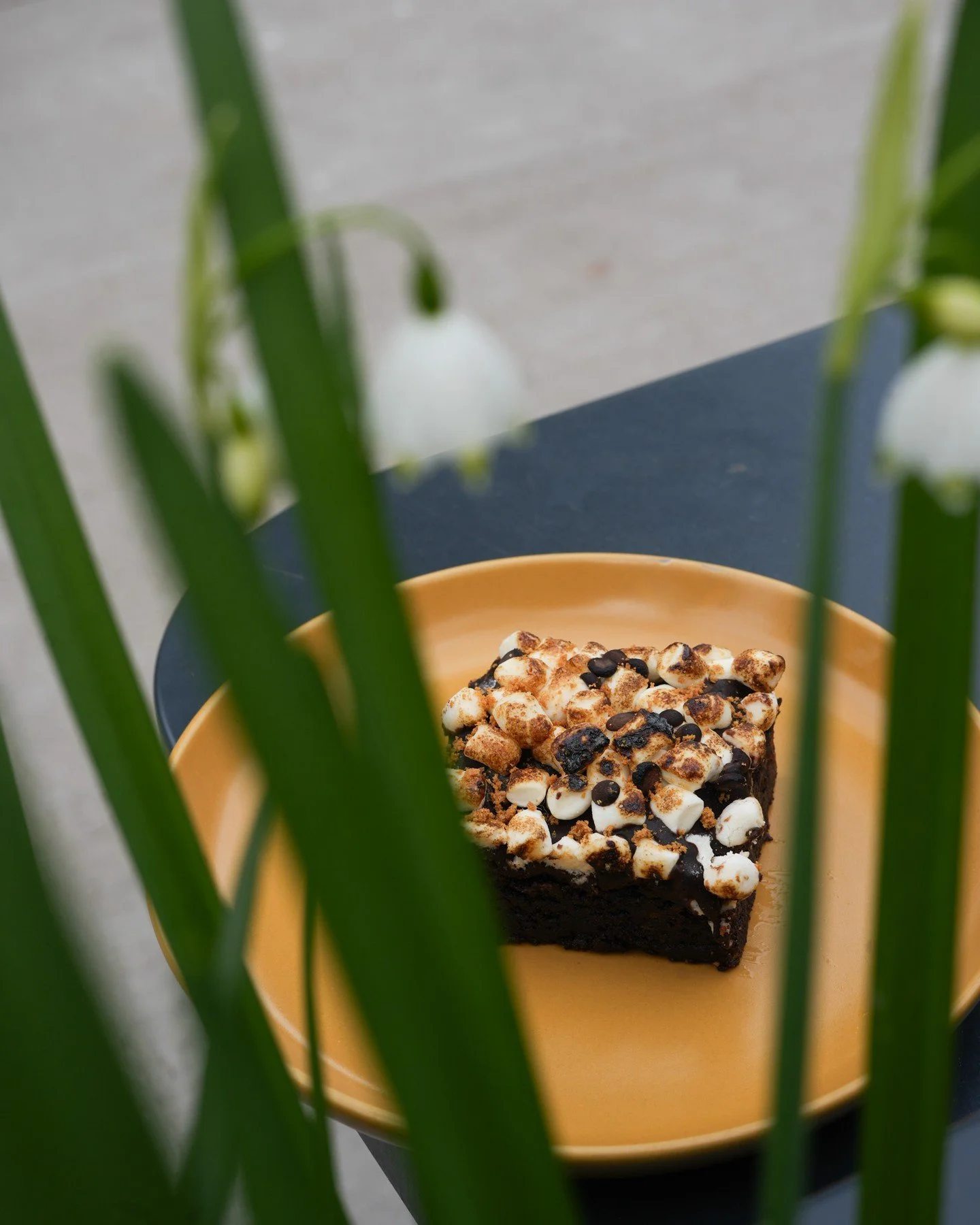 S&rsquo;mores, but make it brownie 😎🍫 
Soft, chocolatey, gooey, and topped with toasted marshmallow. 

Warning: you may want two 😏
