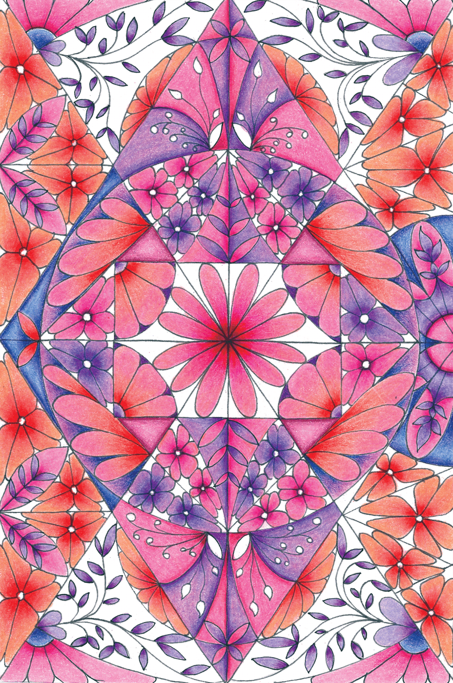 Final Bloom, colored pencil on paper, 5”x8”