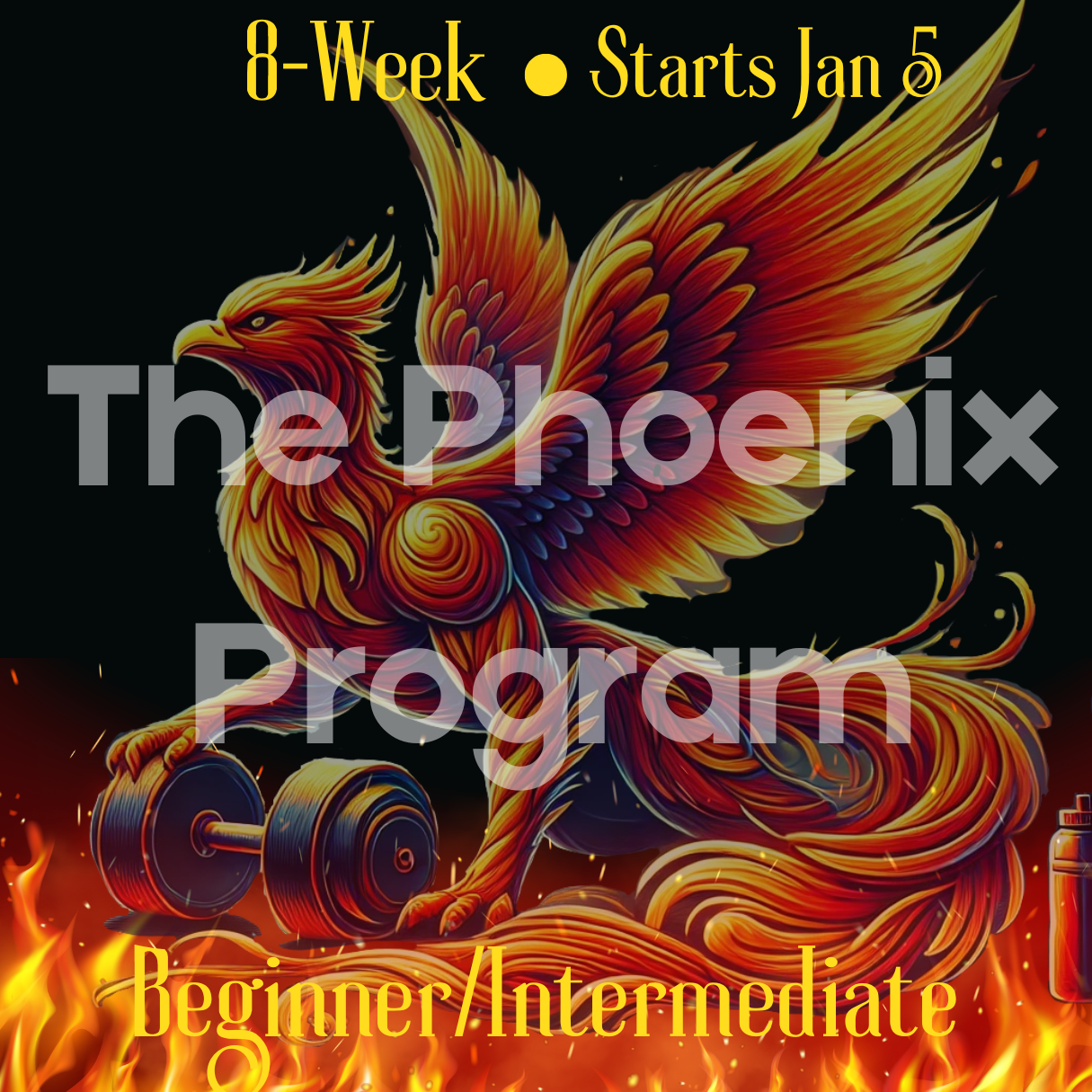 Phoenix Program 8-Week (Online)